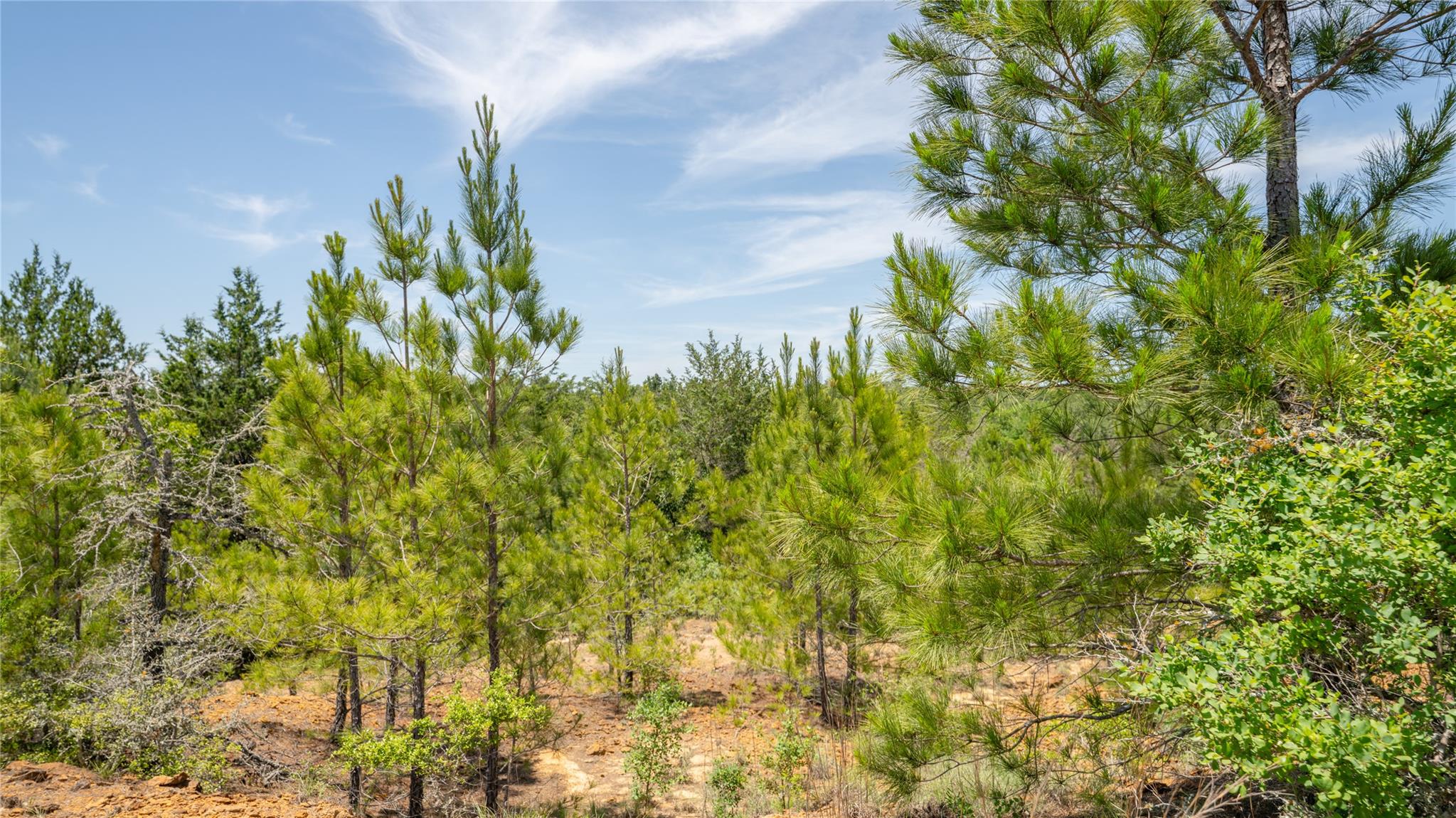 0000 CR 330, Milano, TX 76556