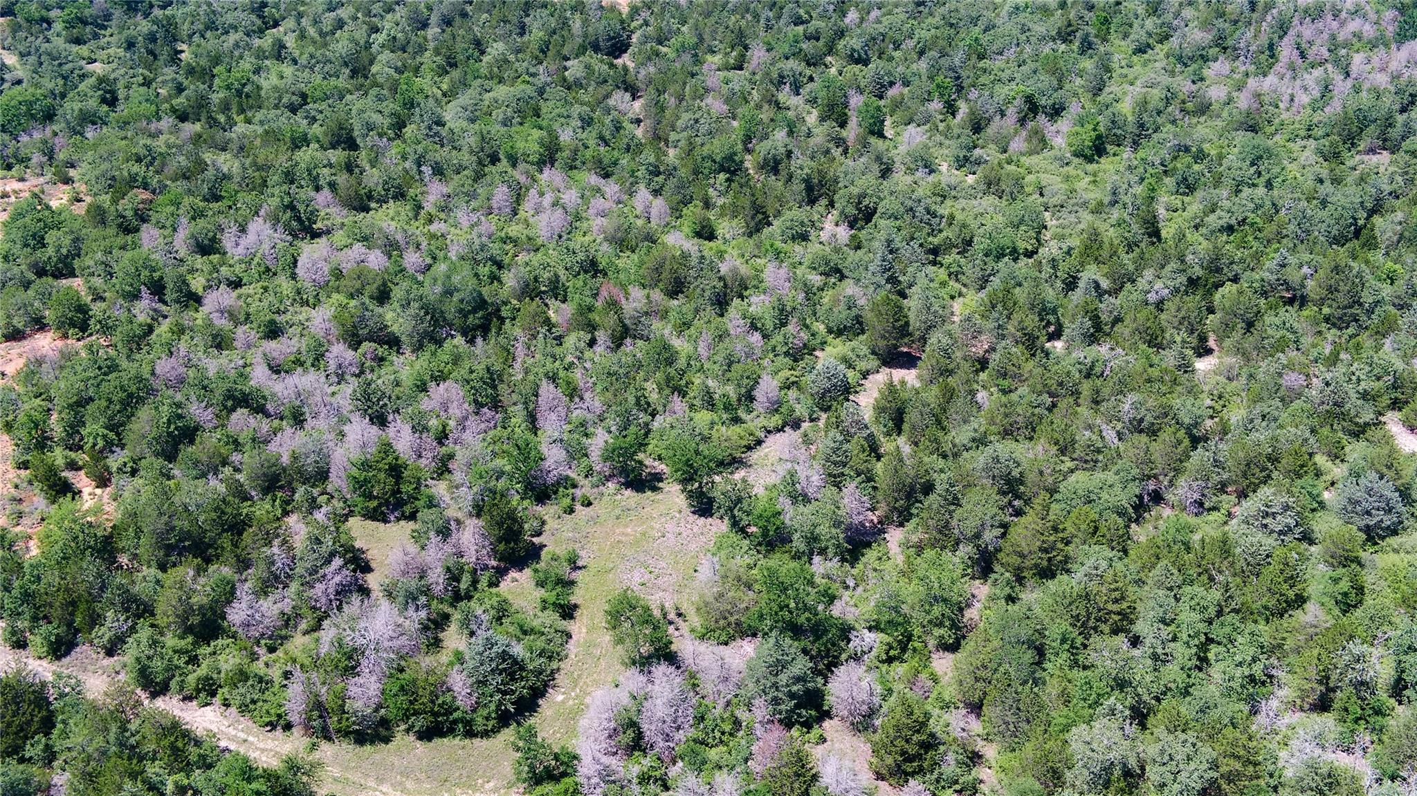 0000 CR 330, Milano, TX 76556