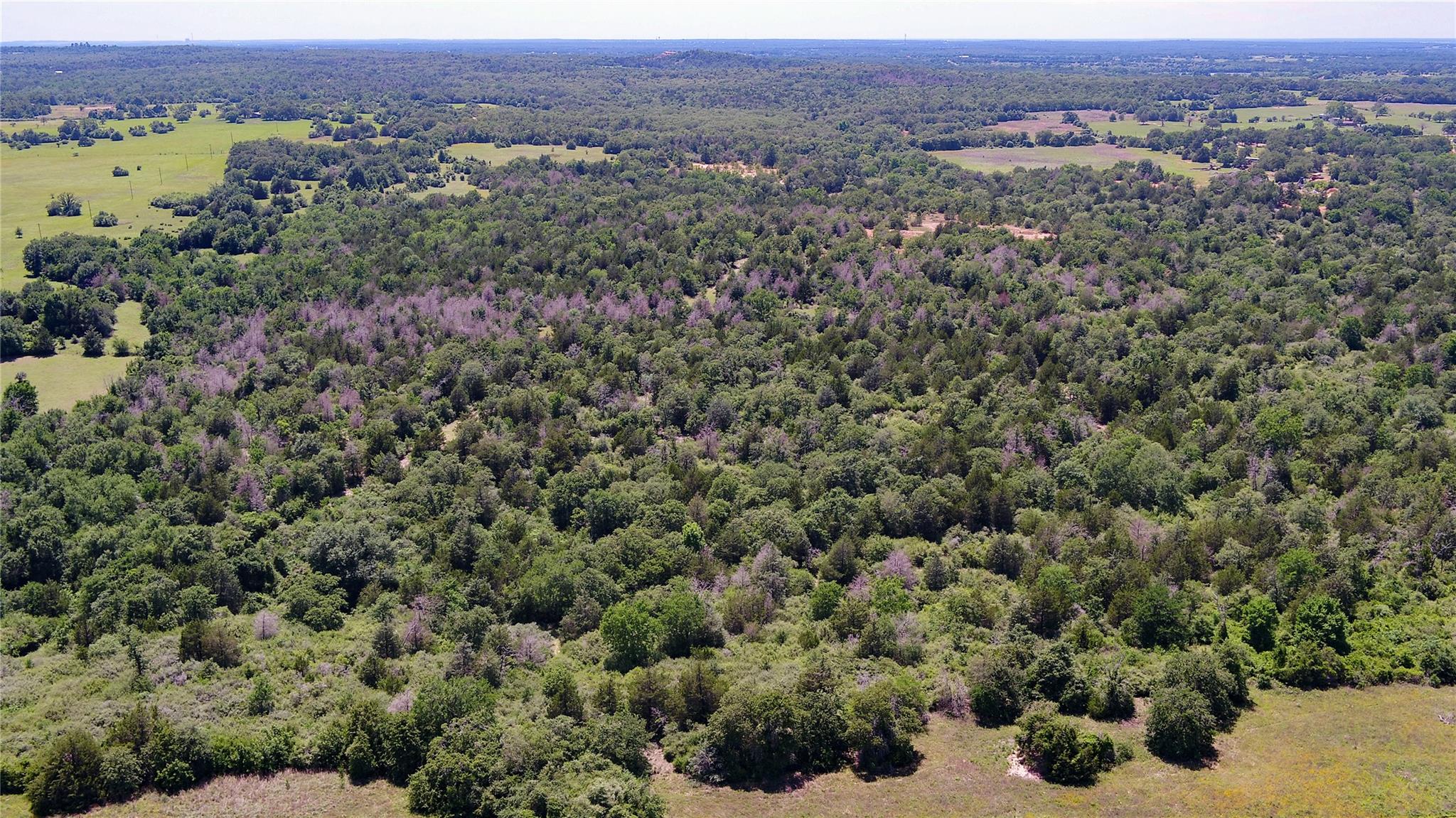 0000 CR 330, Milano, TX 76556