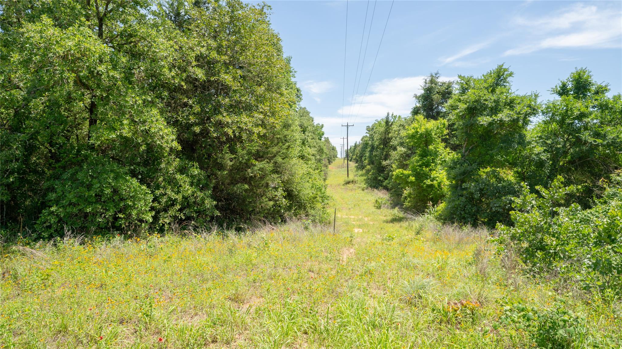 0000 CR 330, Milano, TX 76556