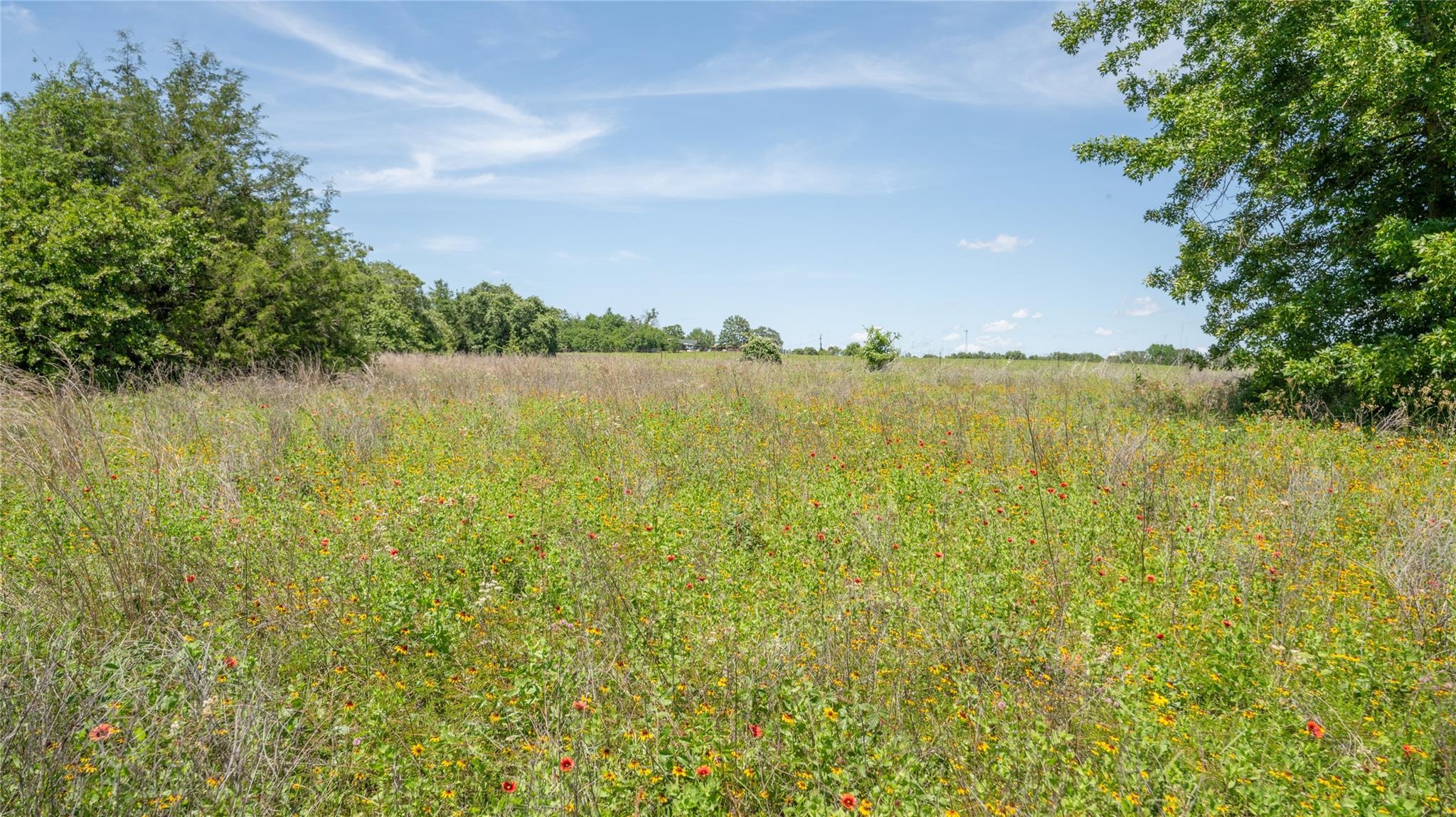 0000 CR 330, Milano, TX 76556