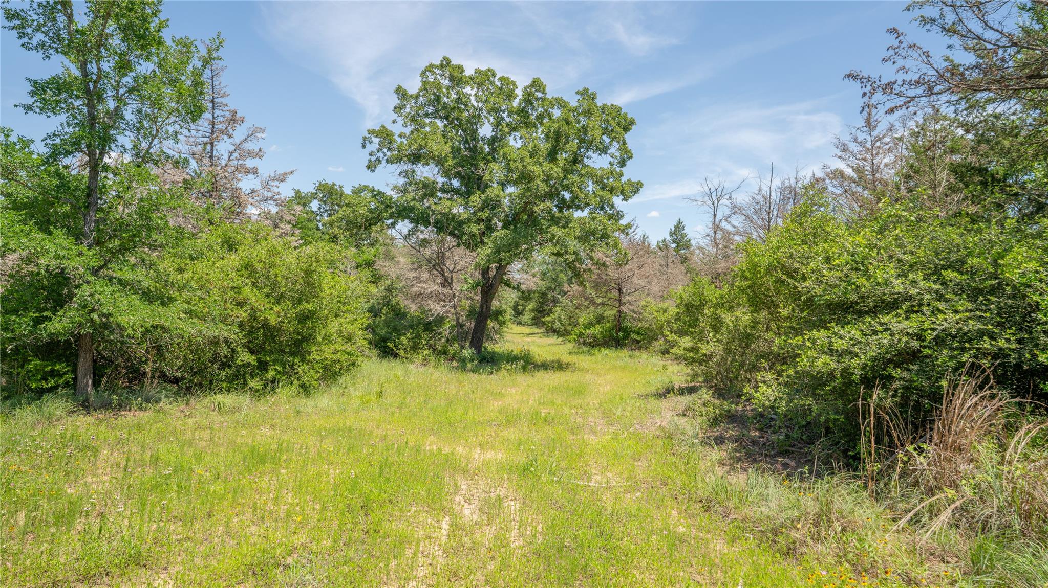 0000 CR 330, Milano, TX 76556