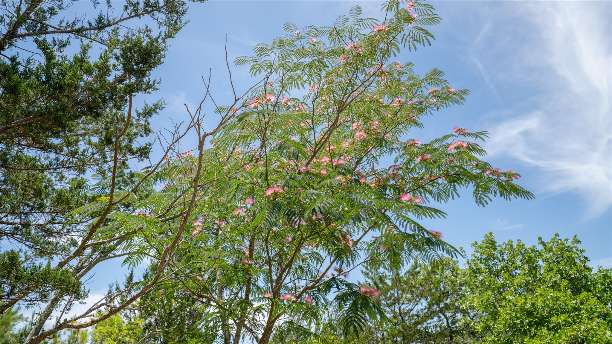 0000 CR 330, Milano, TX 76556