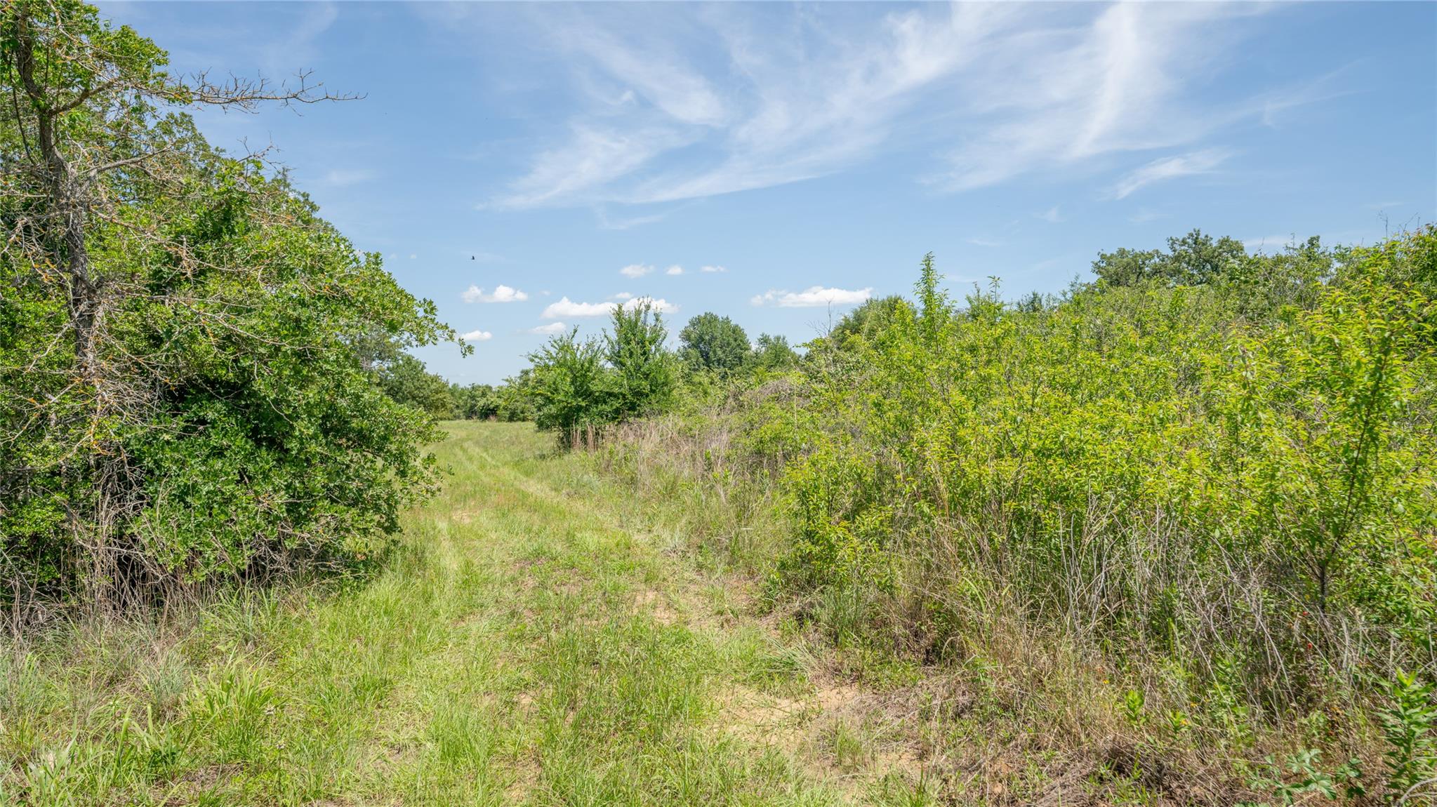 0000 CR 330, Milano, TX 76556