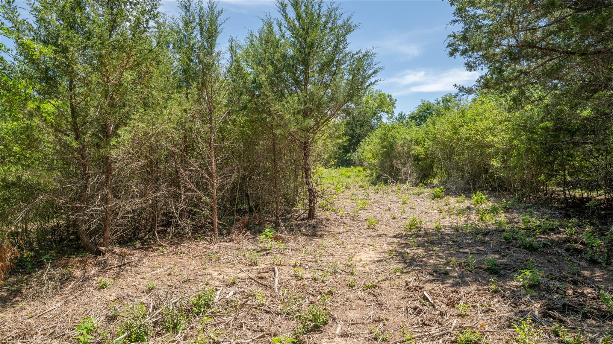 0000 CR 330, Milano, TX 76556