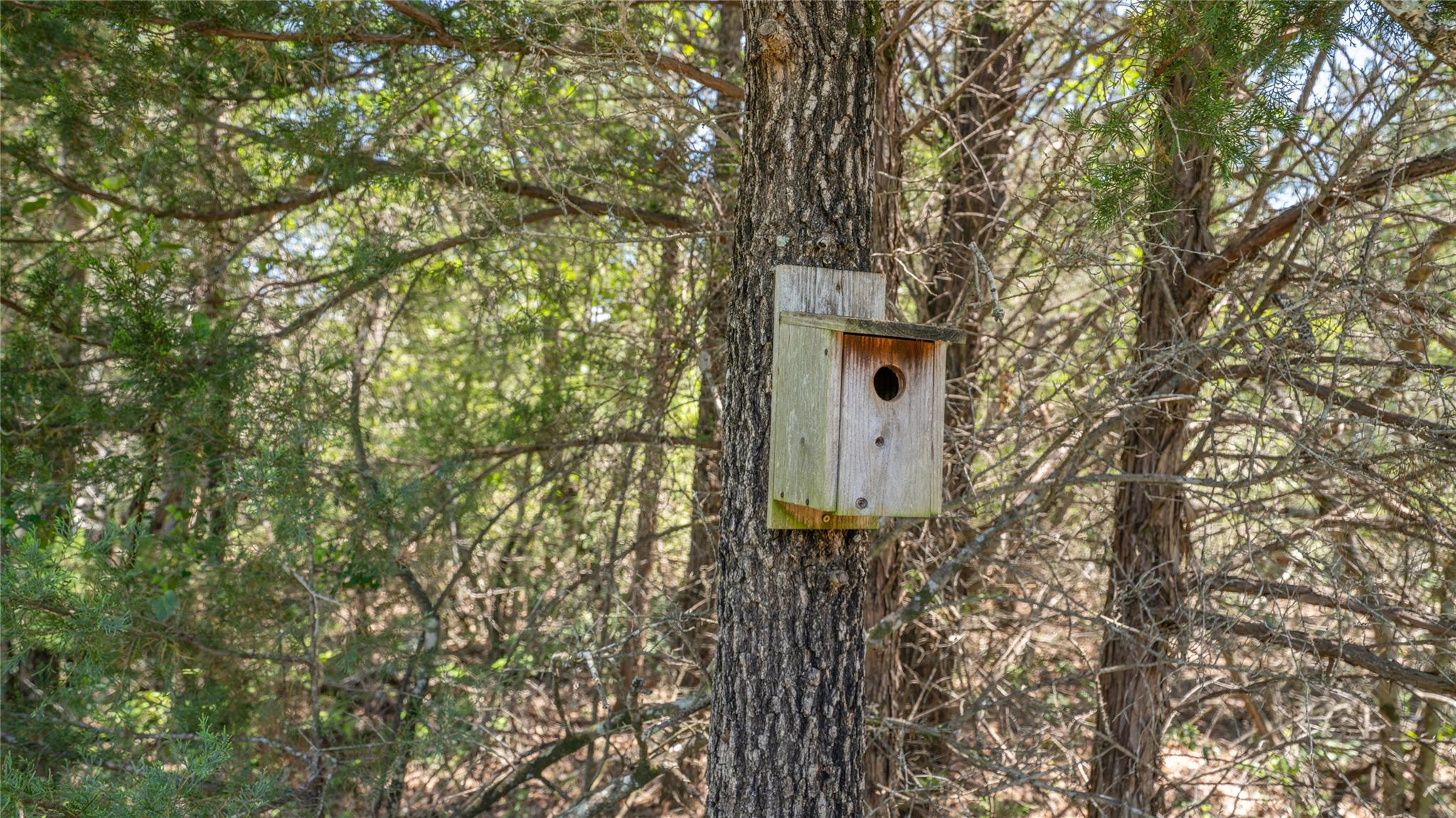 0000 CR 330, Milano, TX 76556