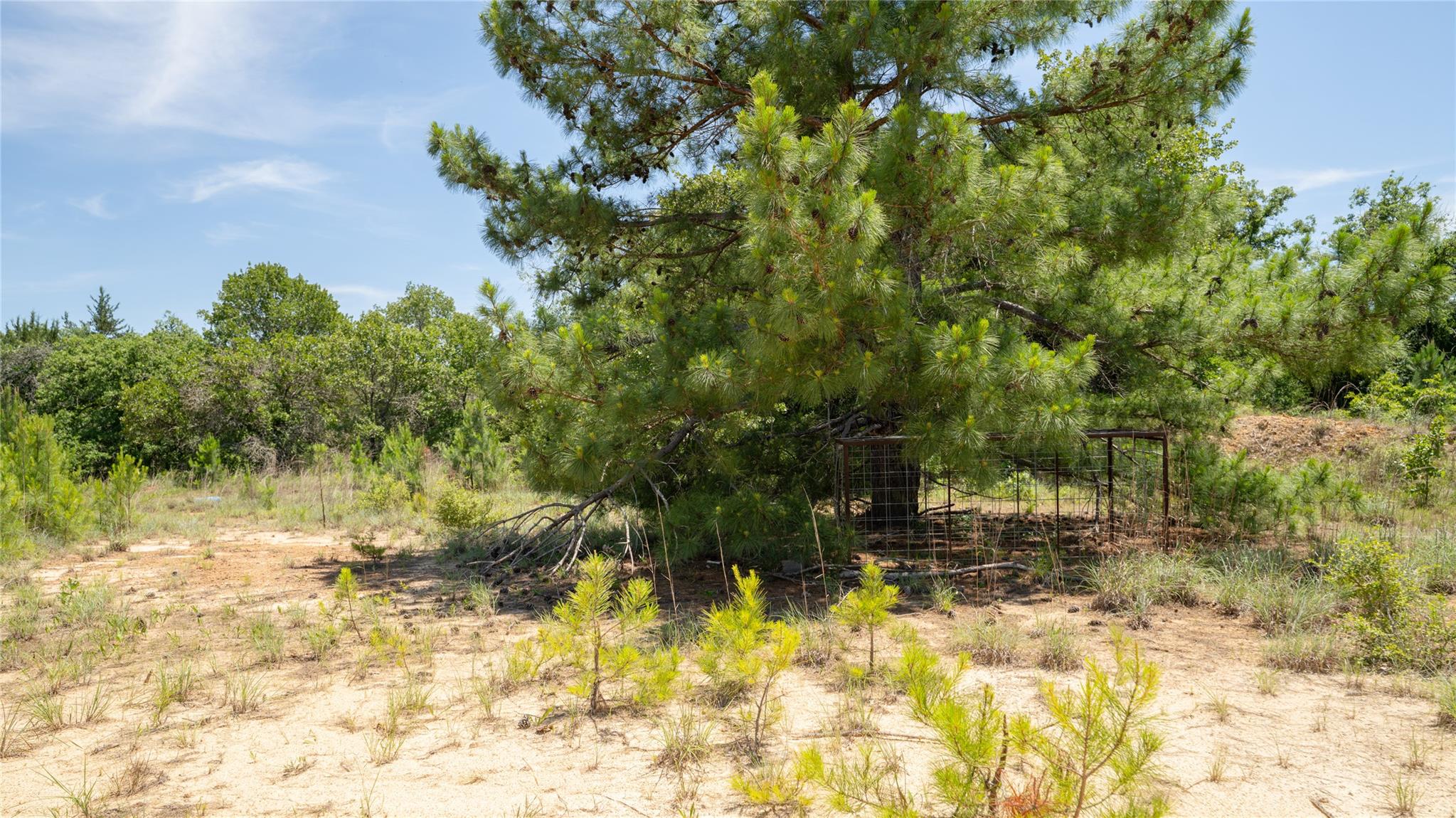 0000 CR 330, Milano, TX 76556