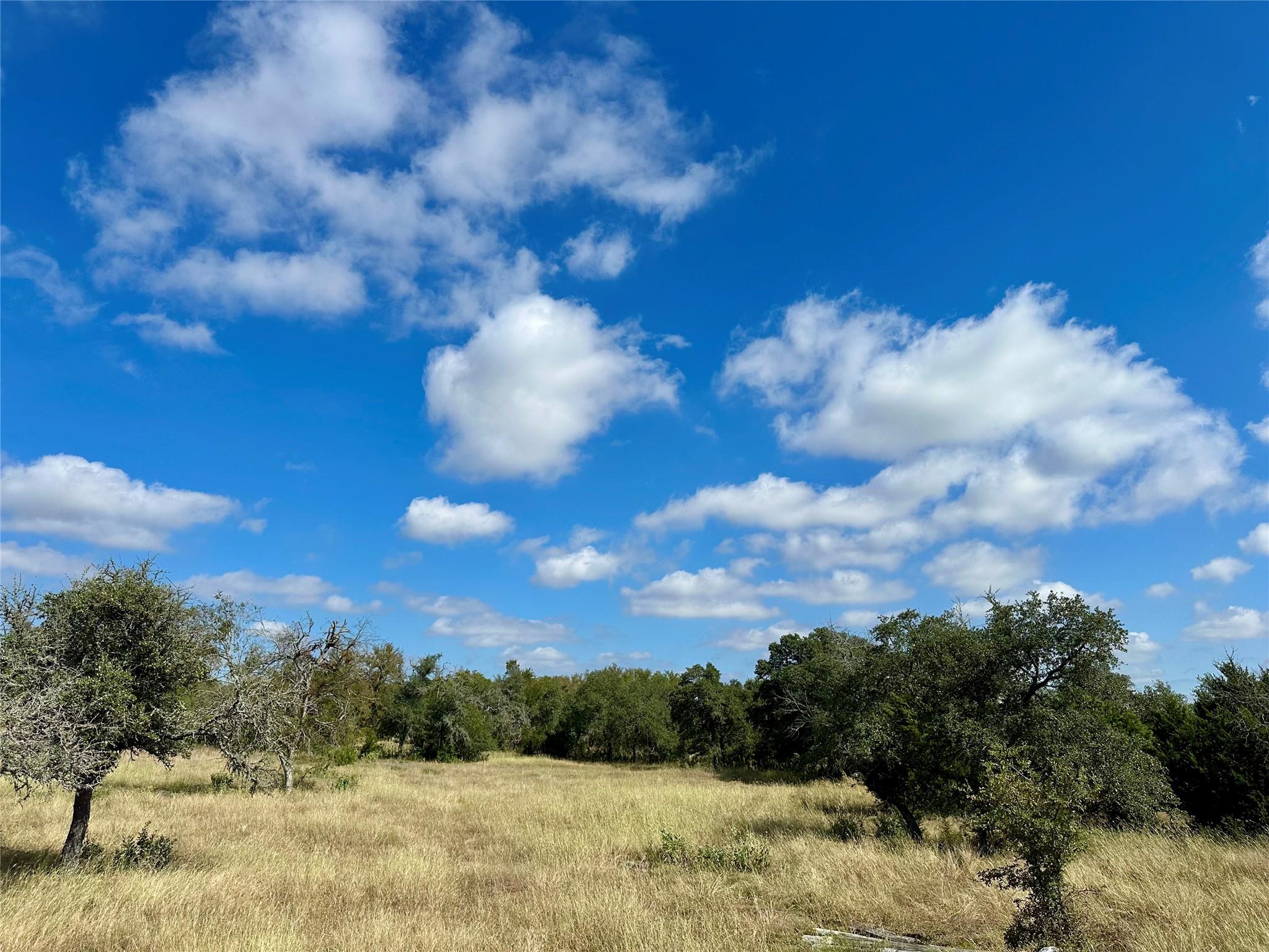 000 County Road 153 - Lot 16B, Georgetown, TX 78626