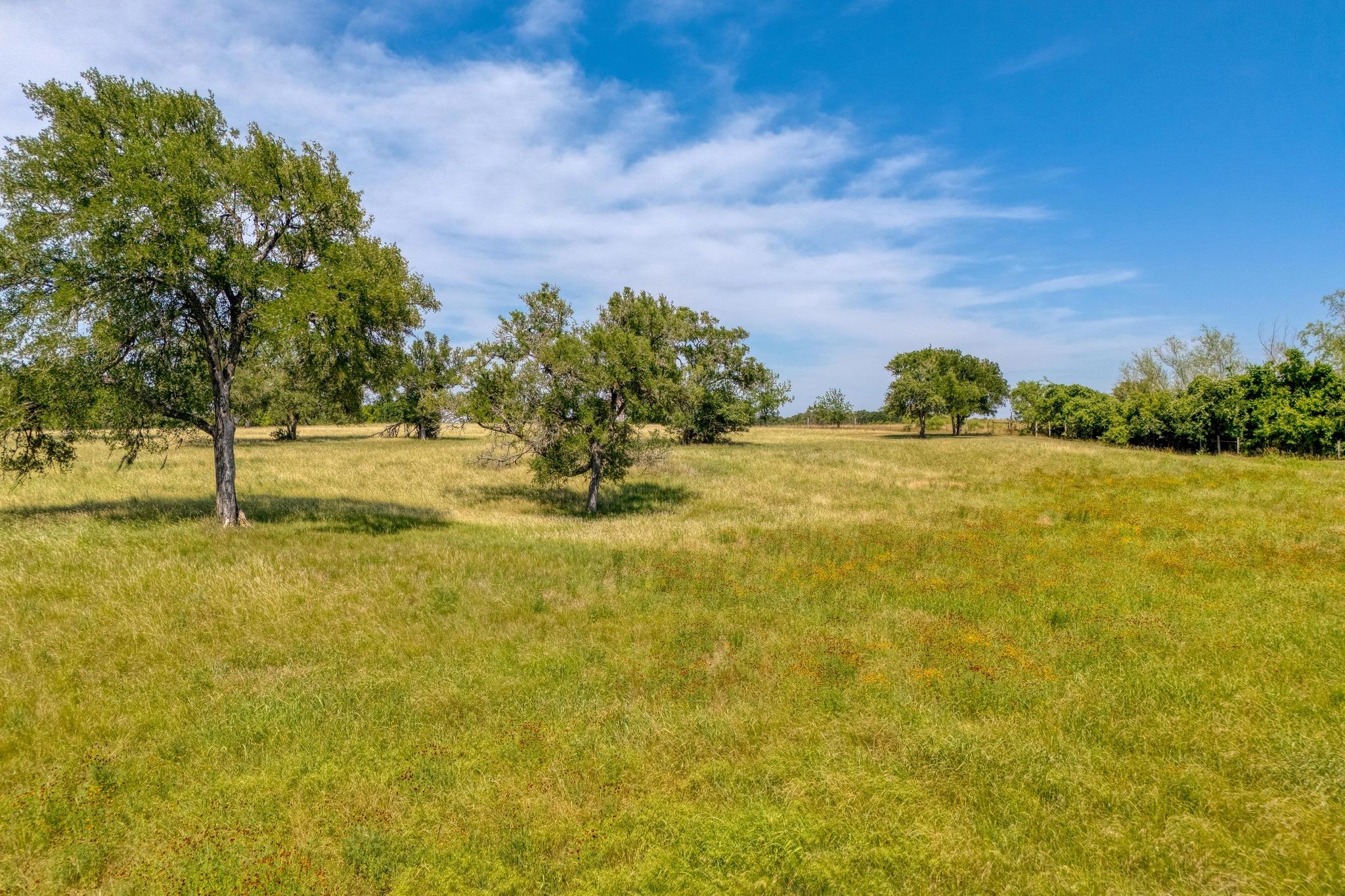 0 FM 812, Cedar Creek, TX 78612