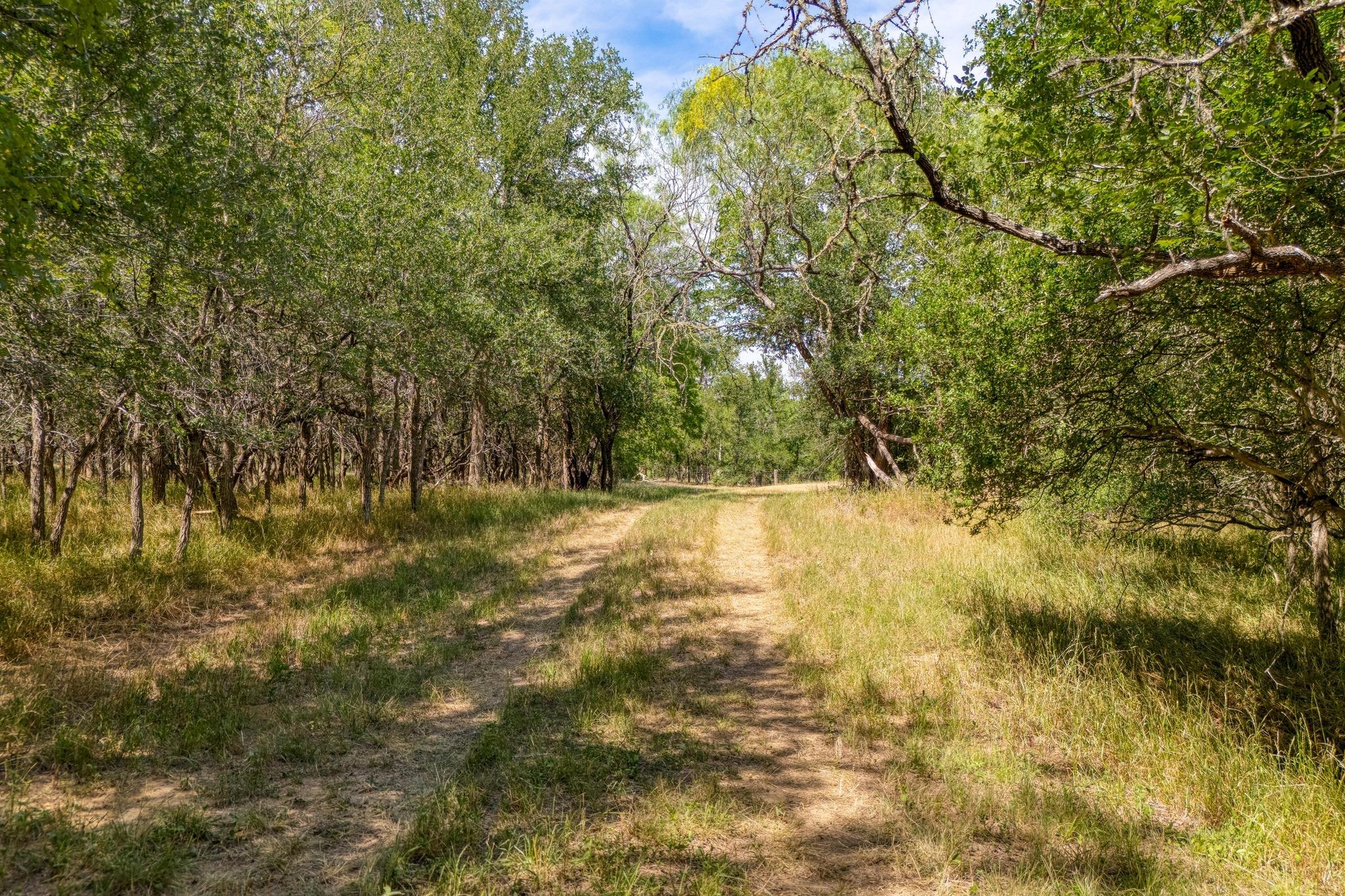 0 FM 812, Cedar Creek, TX 78612