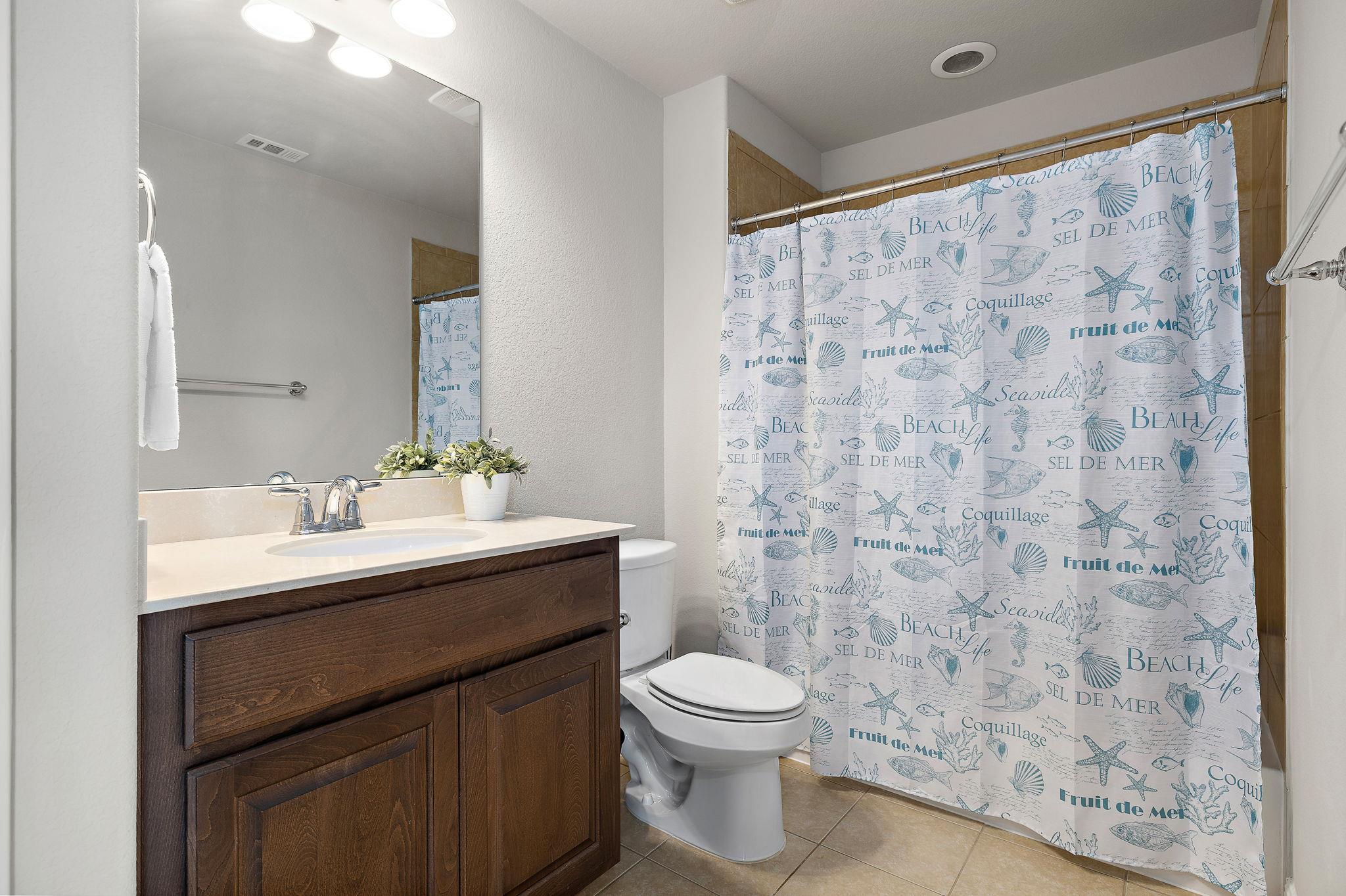 2725 Sorano Ave, Round Rock, TX 78665