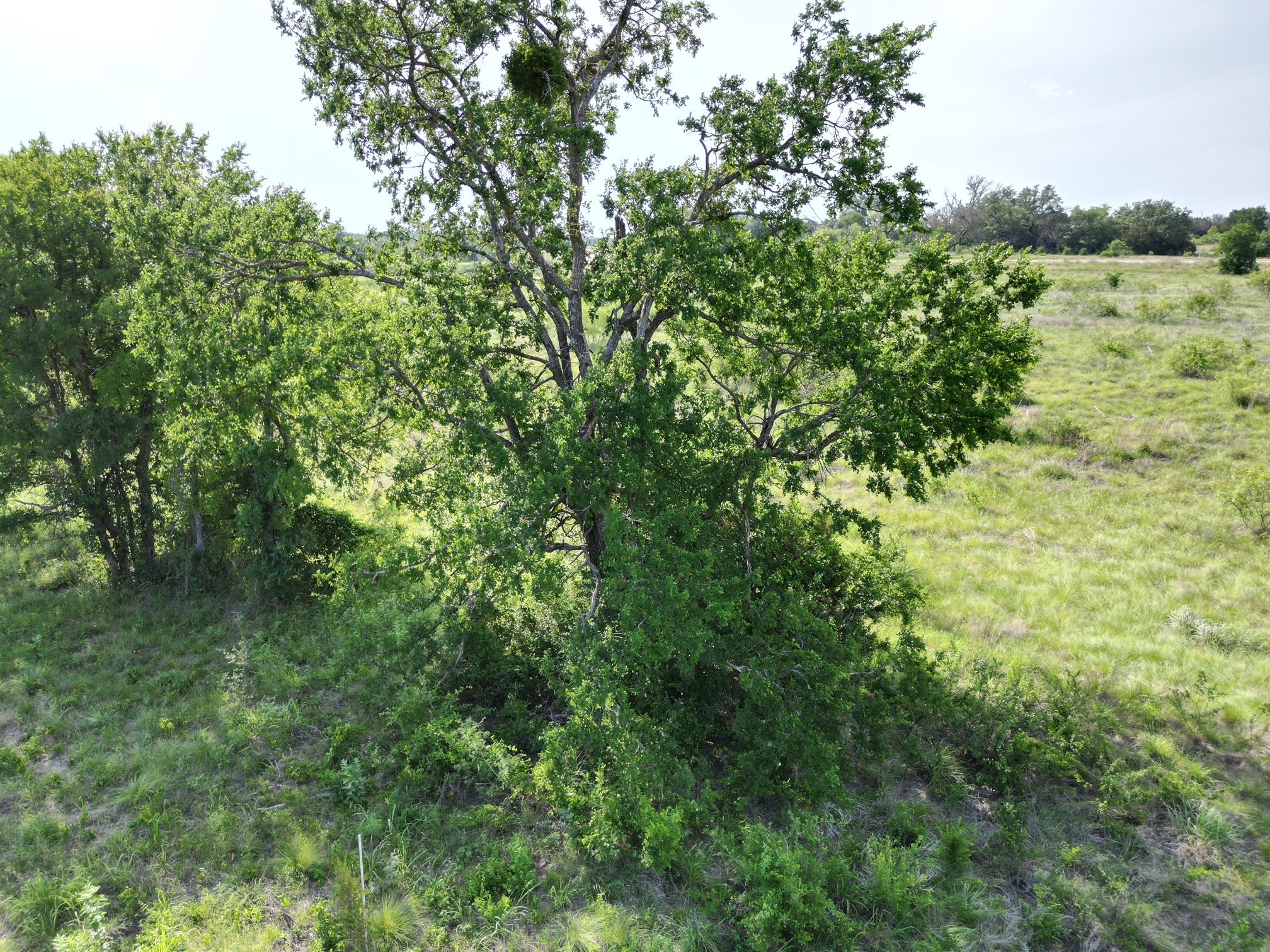 Lot 32 Serenity Dr, Bertram, TX 78605