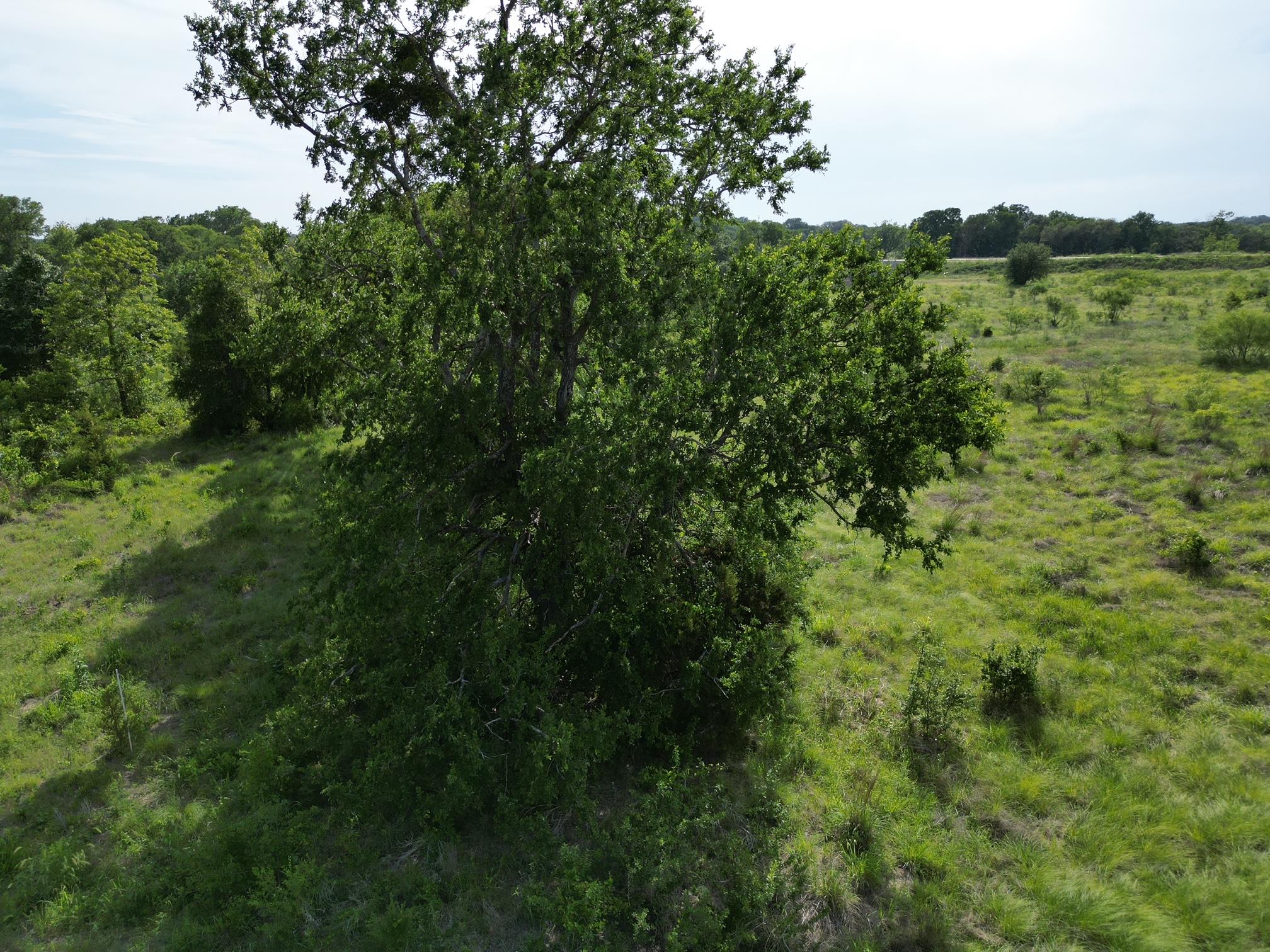Lot 32 Serenity Dr, Bertram, TX 78605