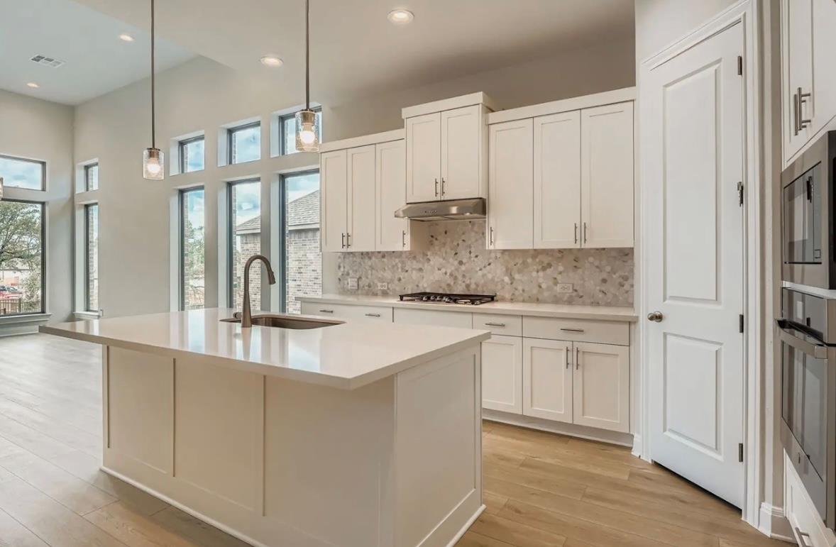 310 Prickly Poppy Loop, Kyle, TX 78640