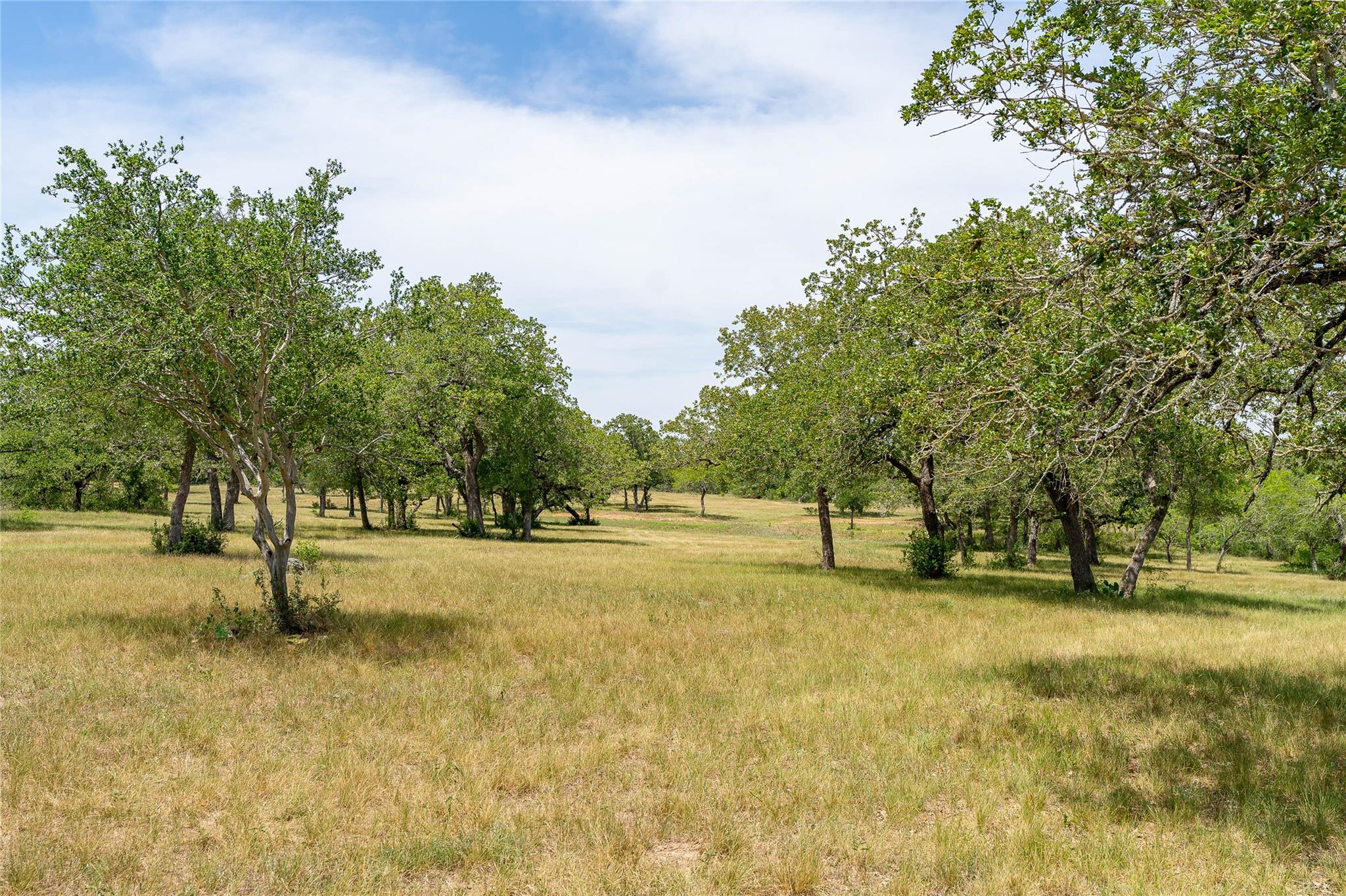 235 Acorn Rd, Lockhart, TX 78644