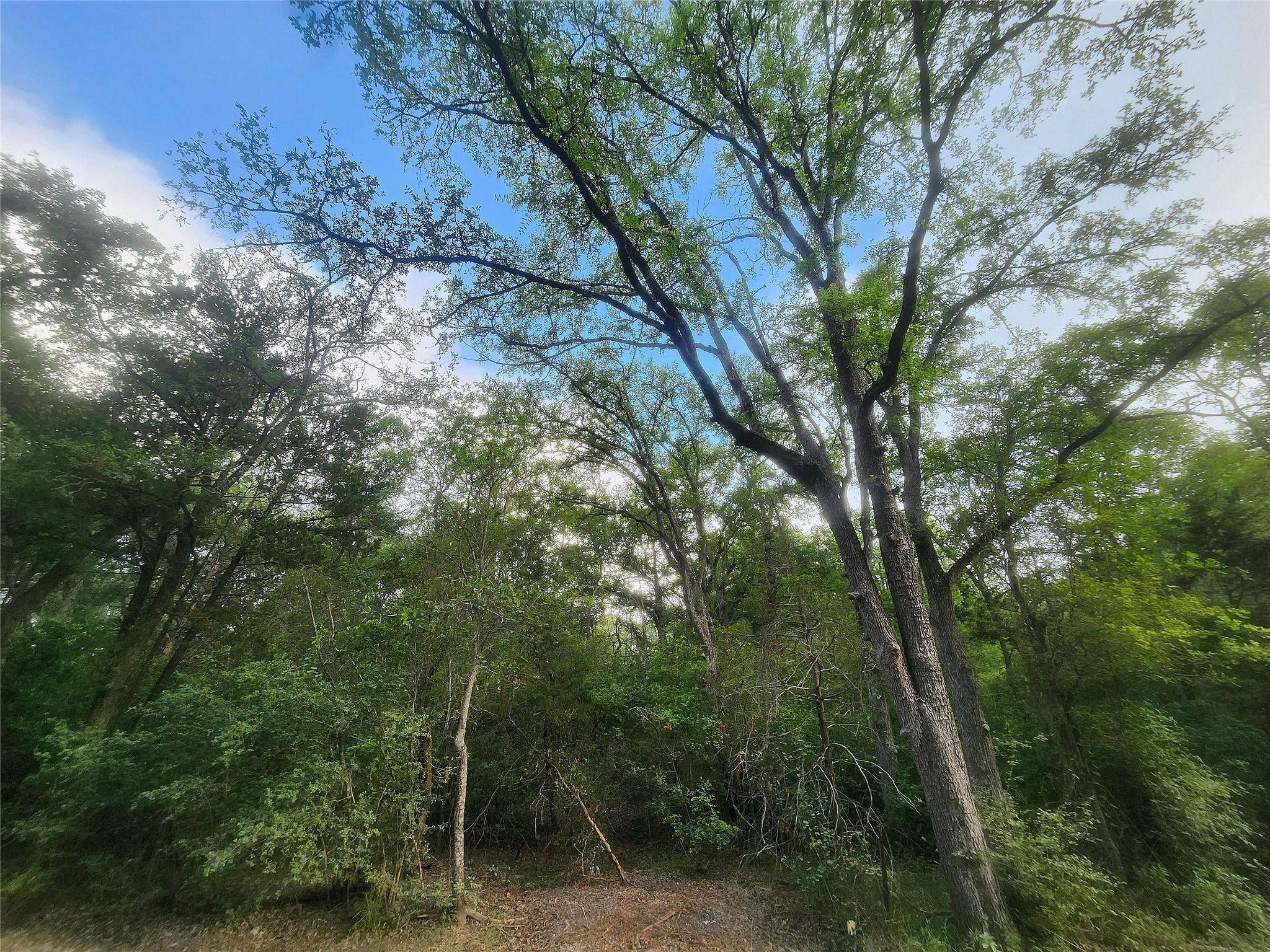 TBD Post Oak Rim Dr, Bastrop, TX 78602