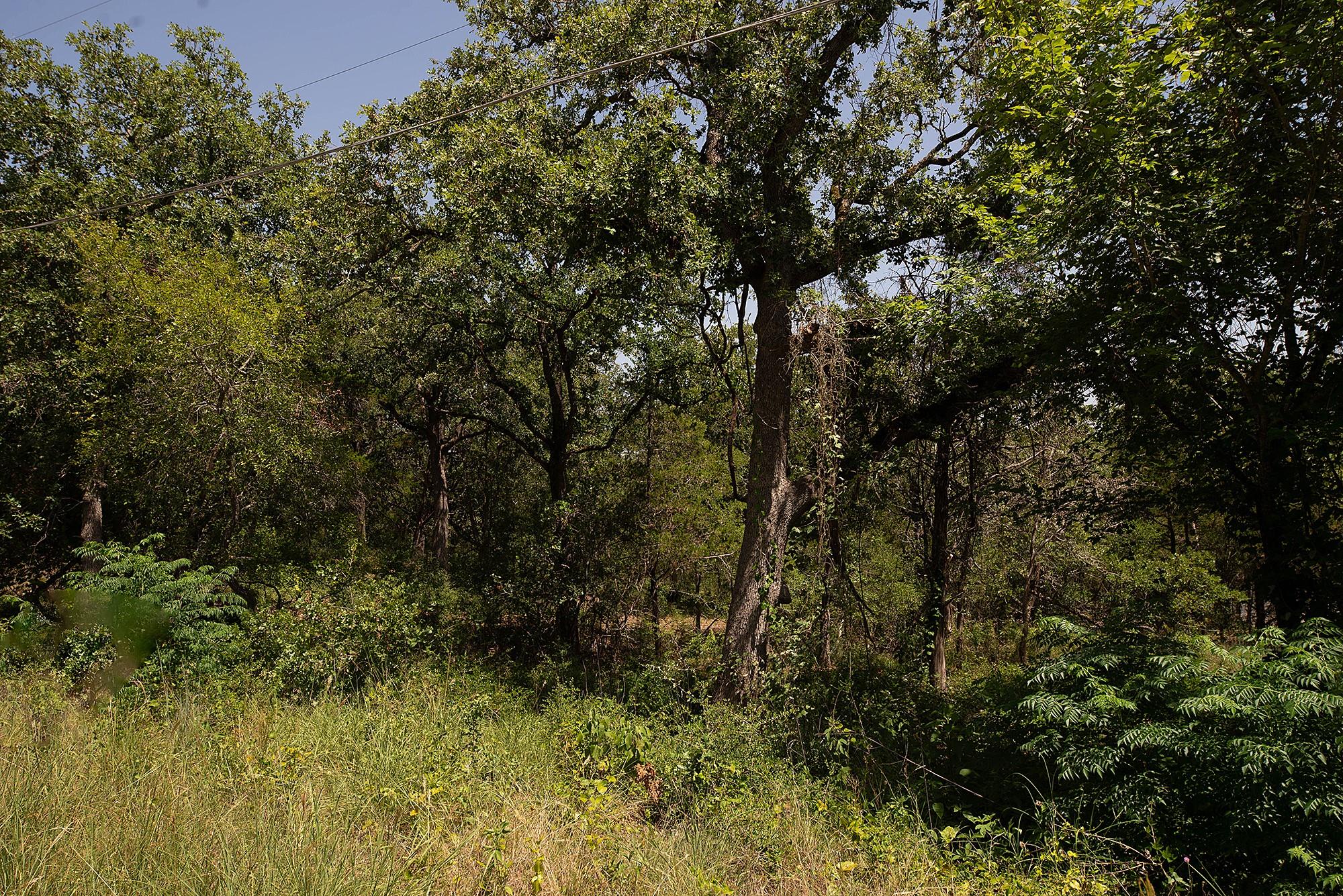 TBD Post Oak Rim Dr, Bastrop, TX 78602