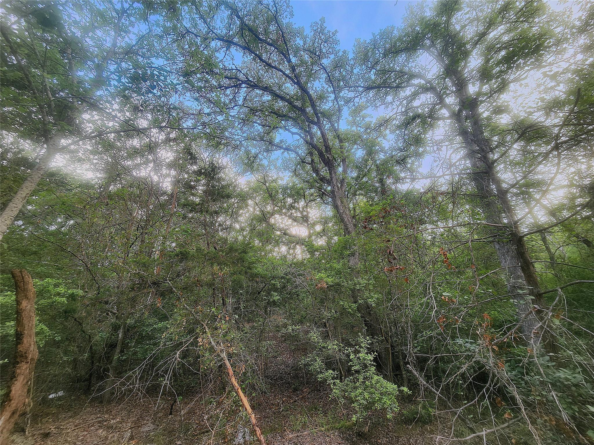 TBD Post Oak Rim Dr, Bastrop, TX 78602