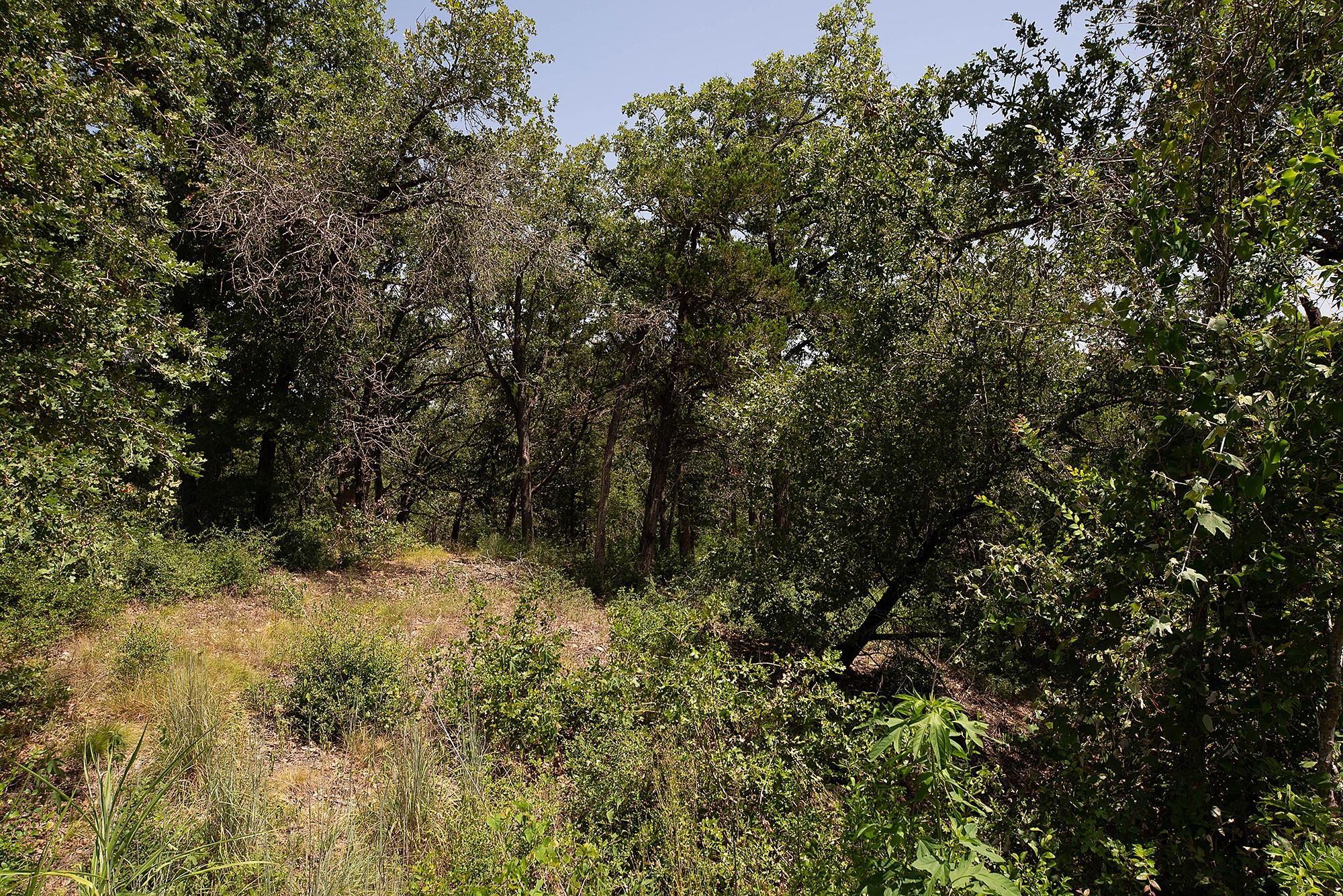 TBD Post Oak Rim Dr, Bastrop, TX 78602