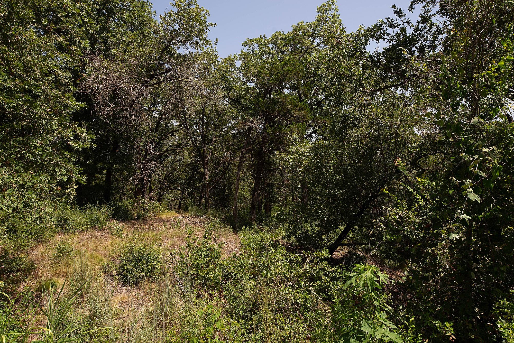 TBD Post Oak Rim Dr, Bastrop, TX 78602