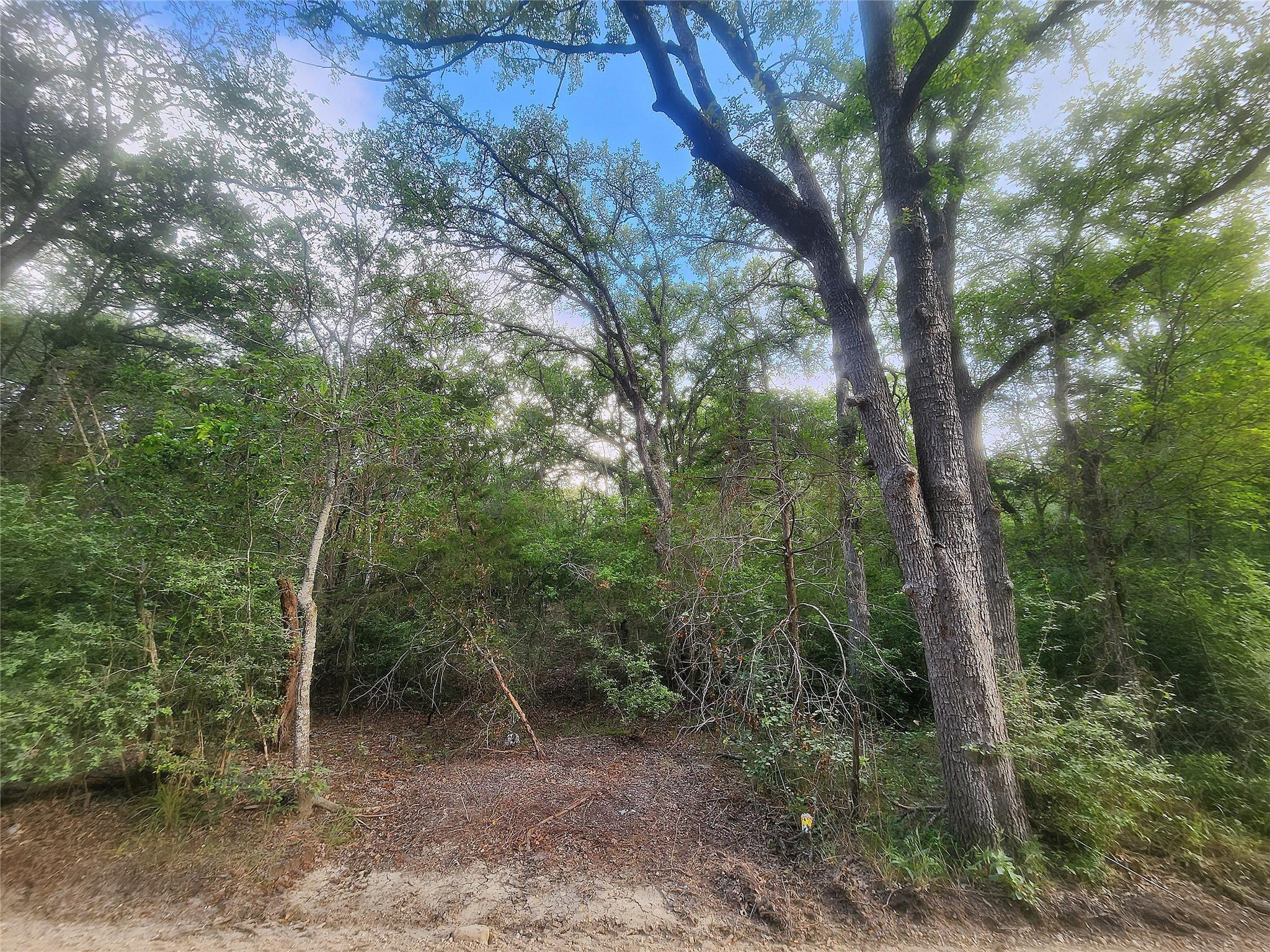 TBD Post Oak Rim Dr, Bastrop, TX 78602