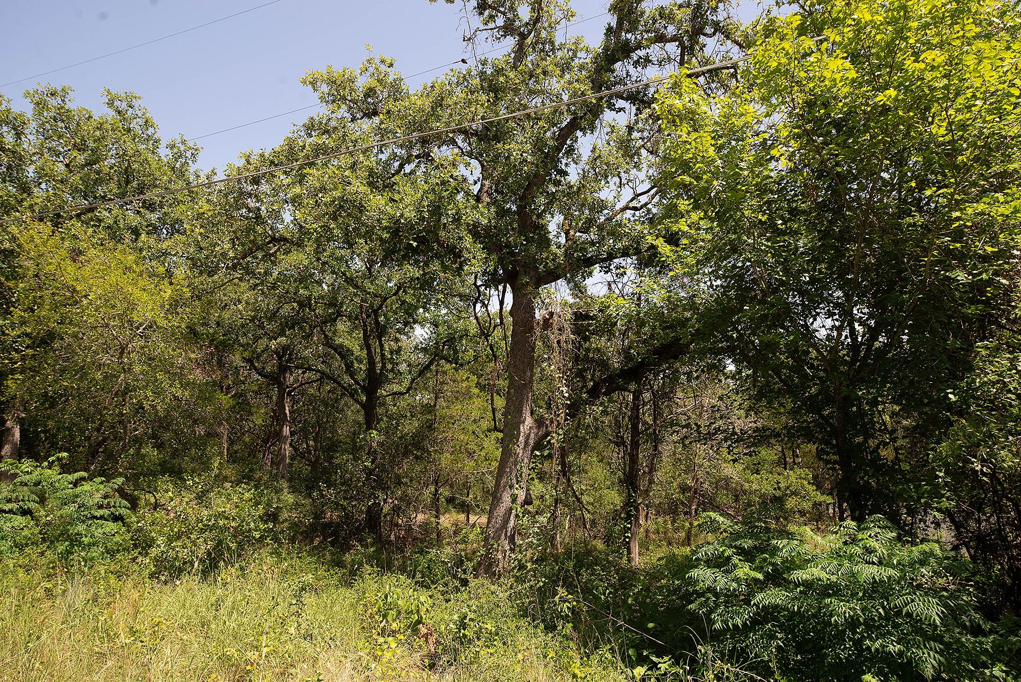 TBD Post Oak Rim Dr, Bastrop, TX 78602