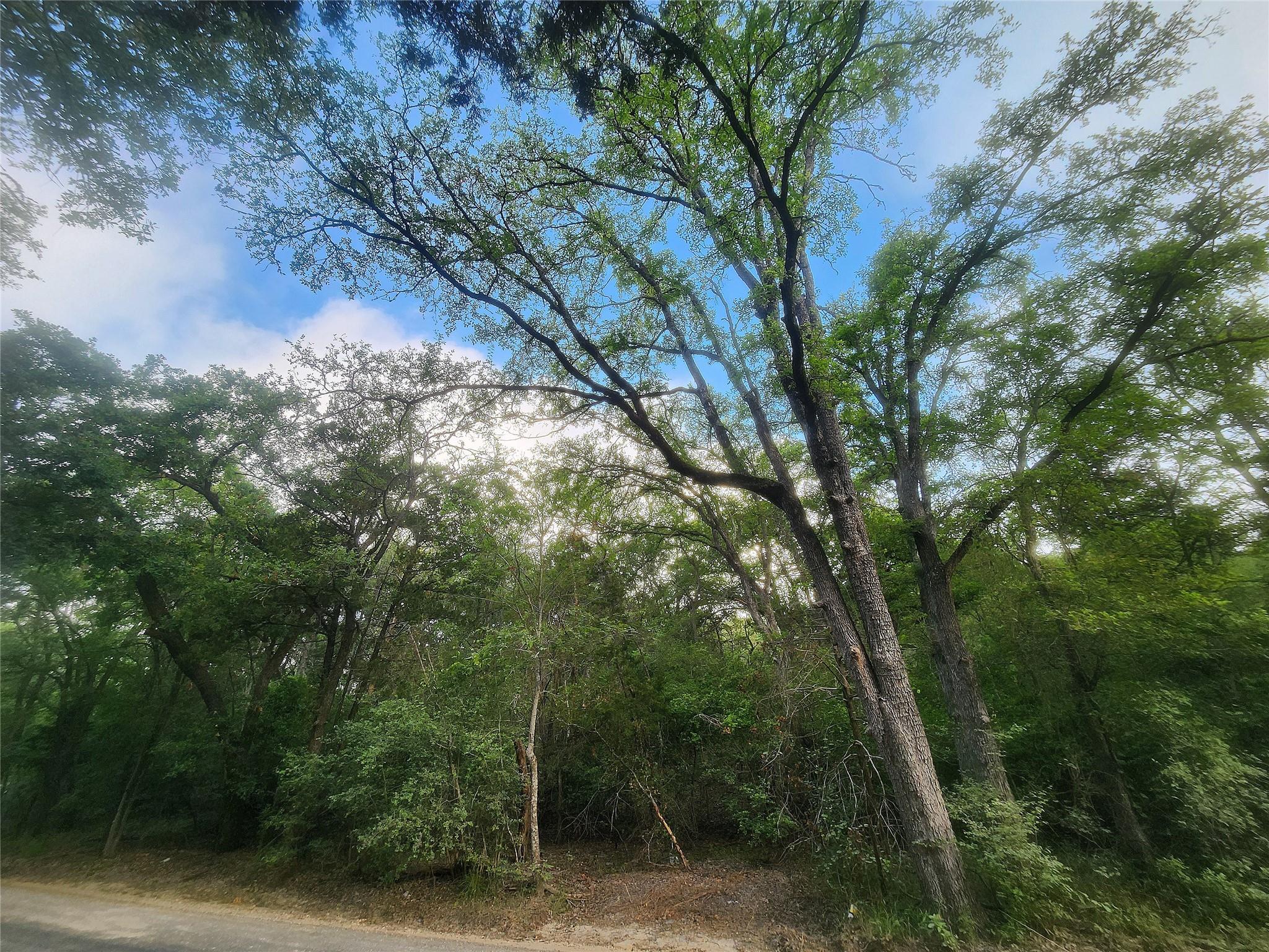 TBD Post Oak Rim Dr, Bastrop, TX 78602