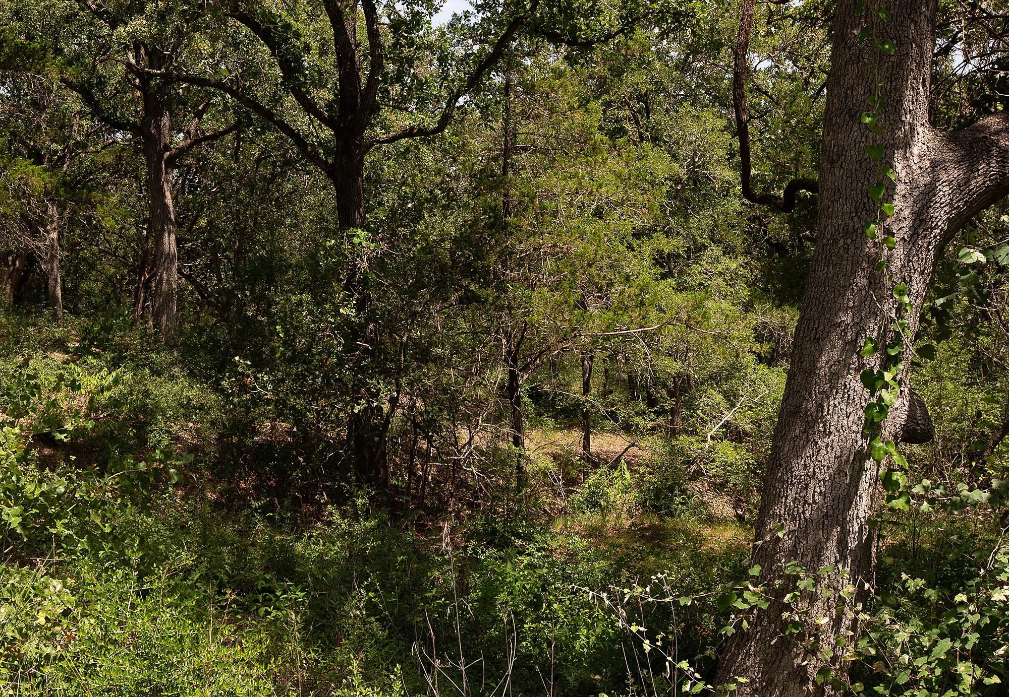 TBD Post Oak Rim Dr, Bastrop, TX 78602