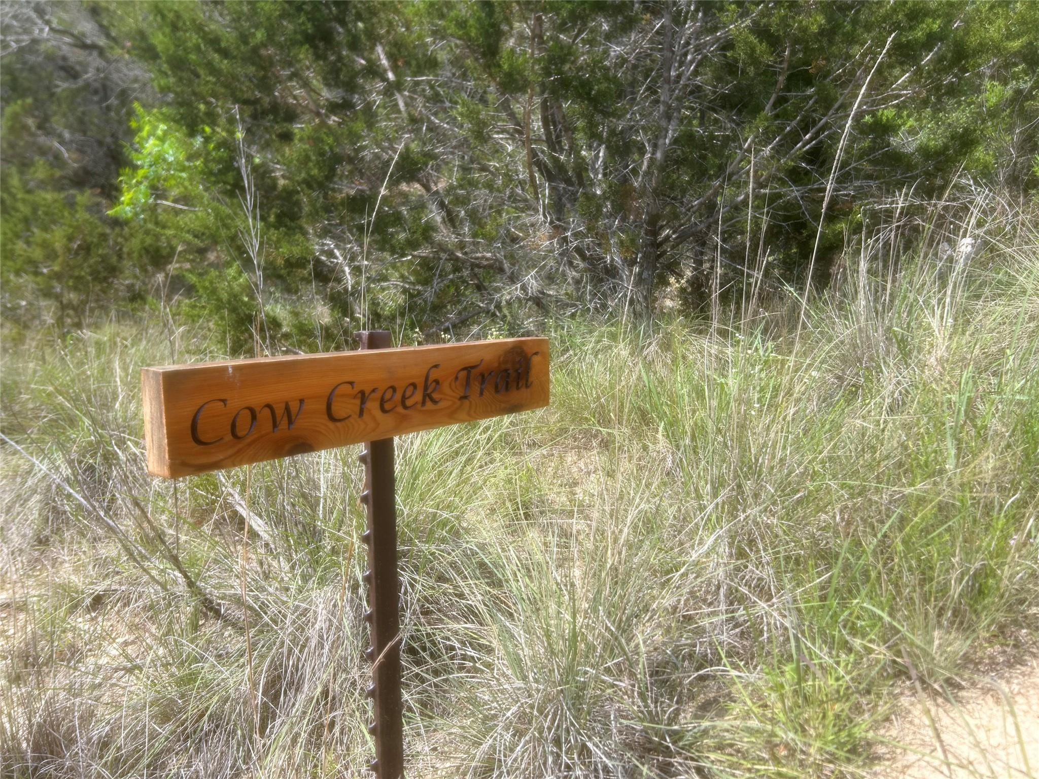 lot 16 Channys Cors, Bertram, TX 78605