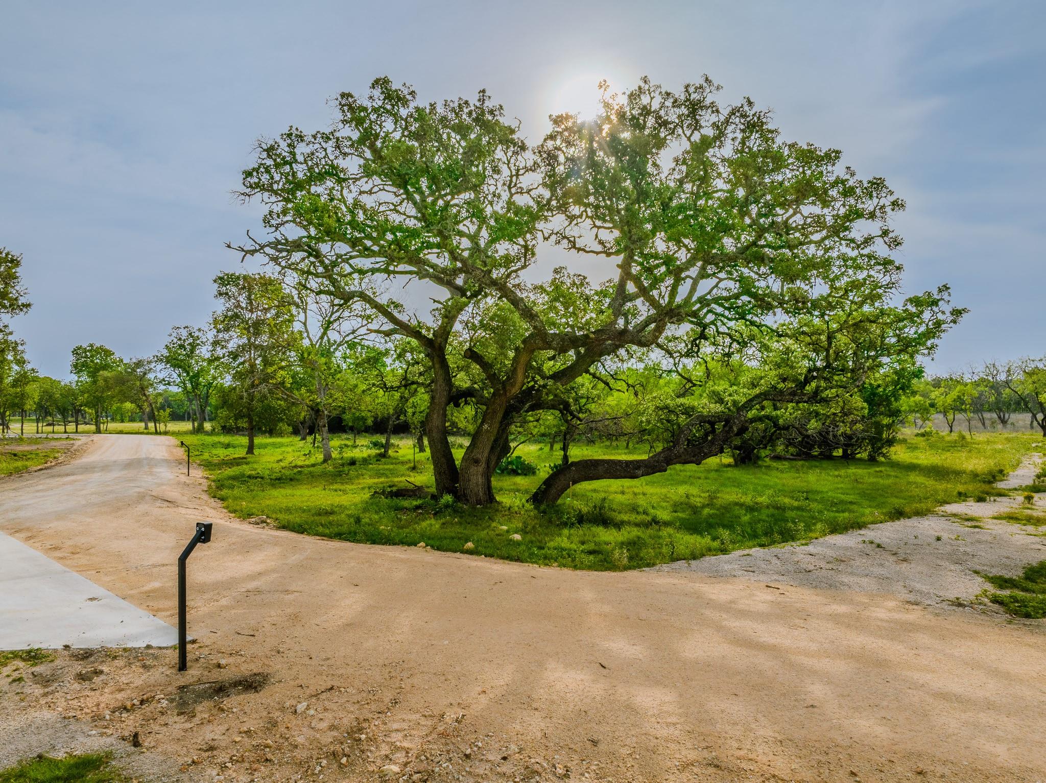 000 The Reserve at 290 Highway, Johnson City, TX 78638