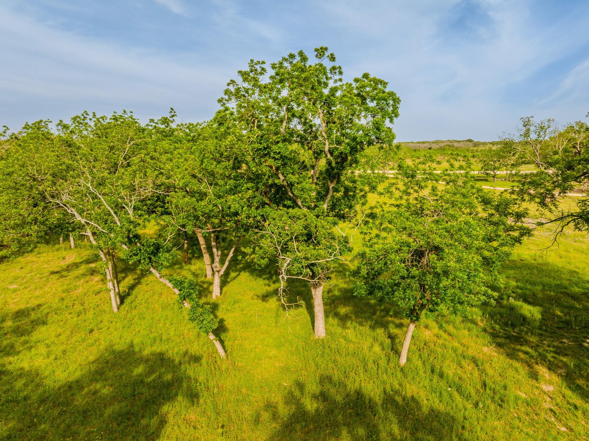 000 The Reserve at 290 Highway, Johnson City, TX 78638