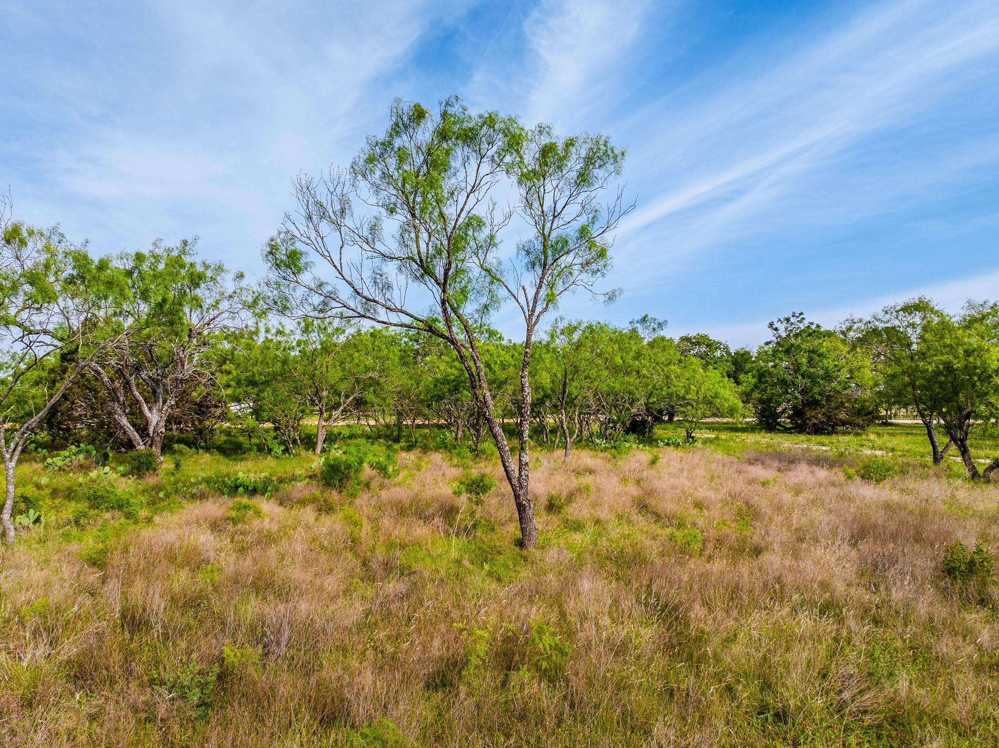 000 The Reserve at 290 Highway, Johnson City, TX 78638