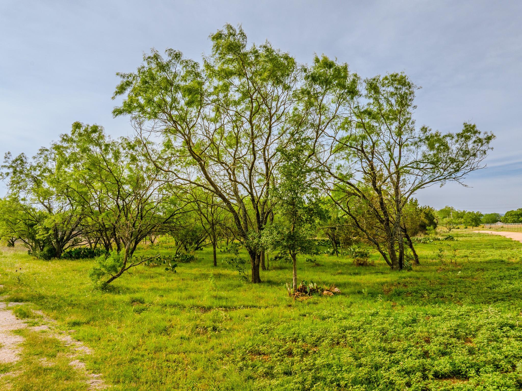 000 The Reserve at 290 Highway, Johnson City, TX 78638