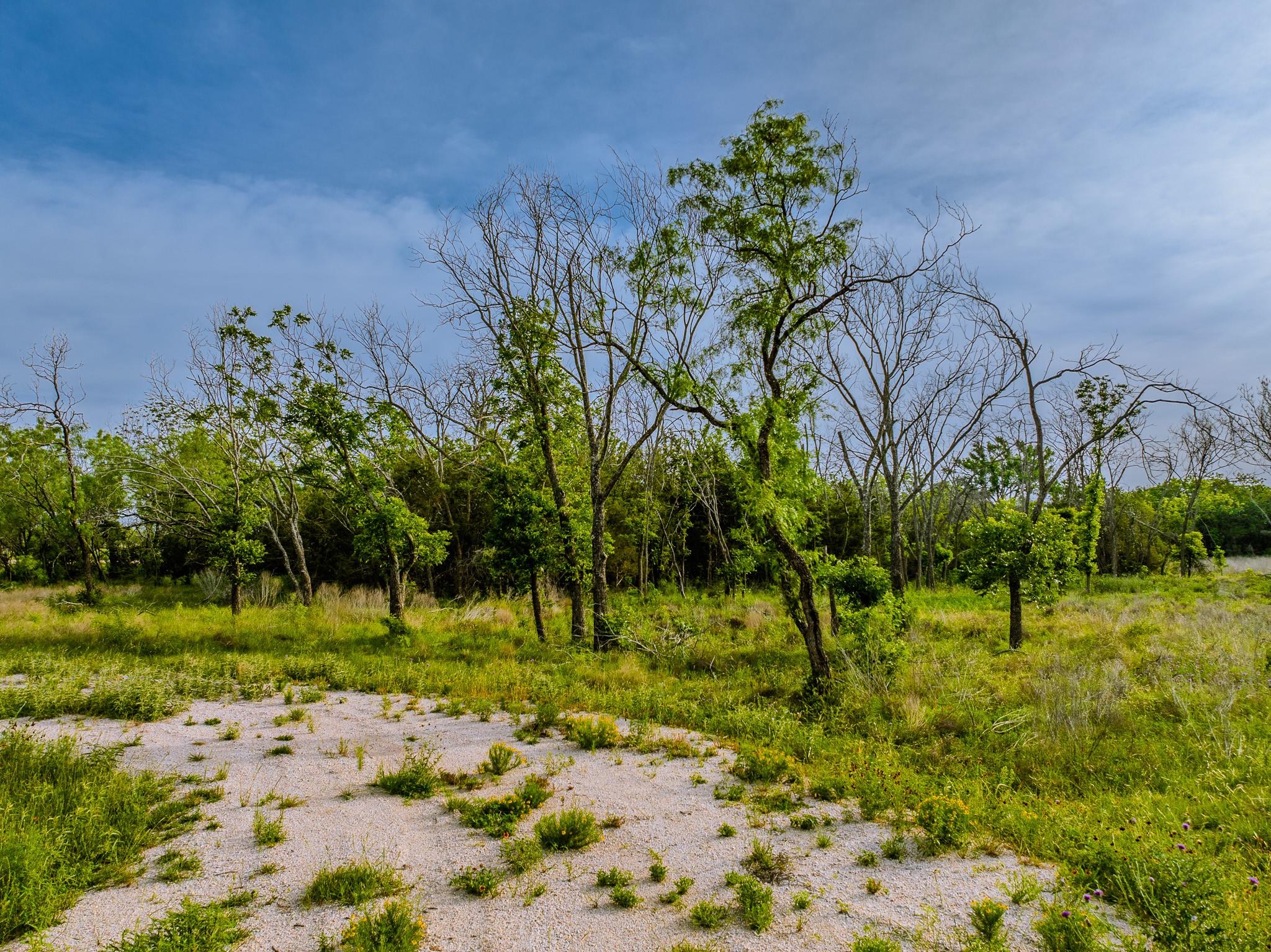 000 The Reserve at 290 Highway, Johnson City, TX 78638