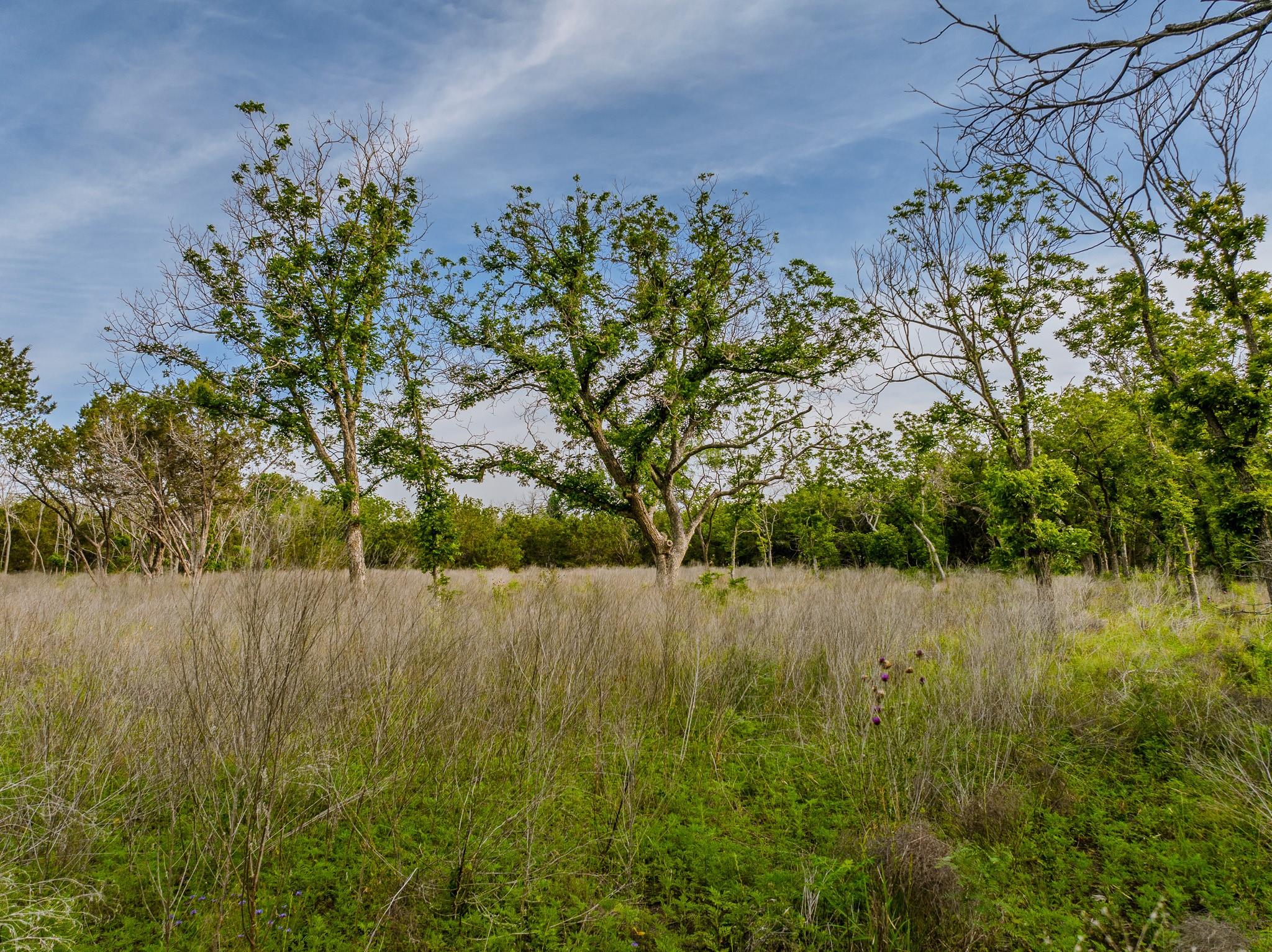 000 The Reserve at 290 Highway, Johnson City, TX 78638