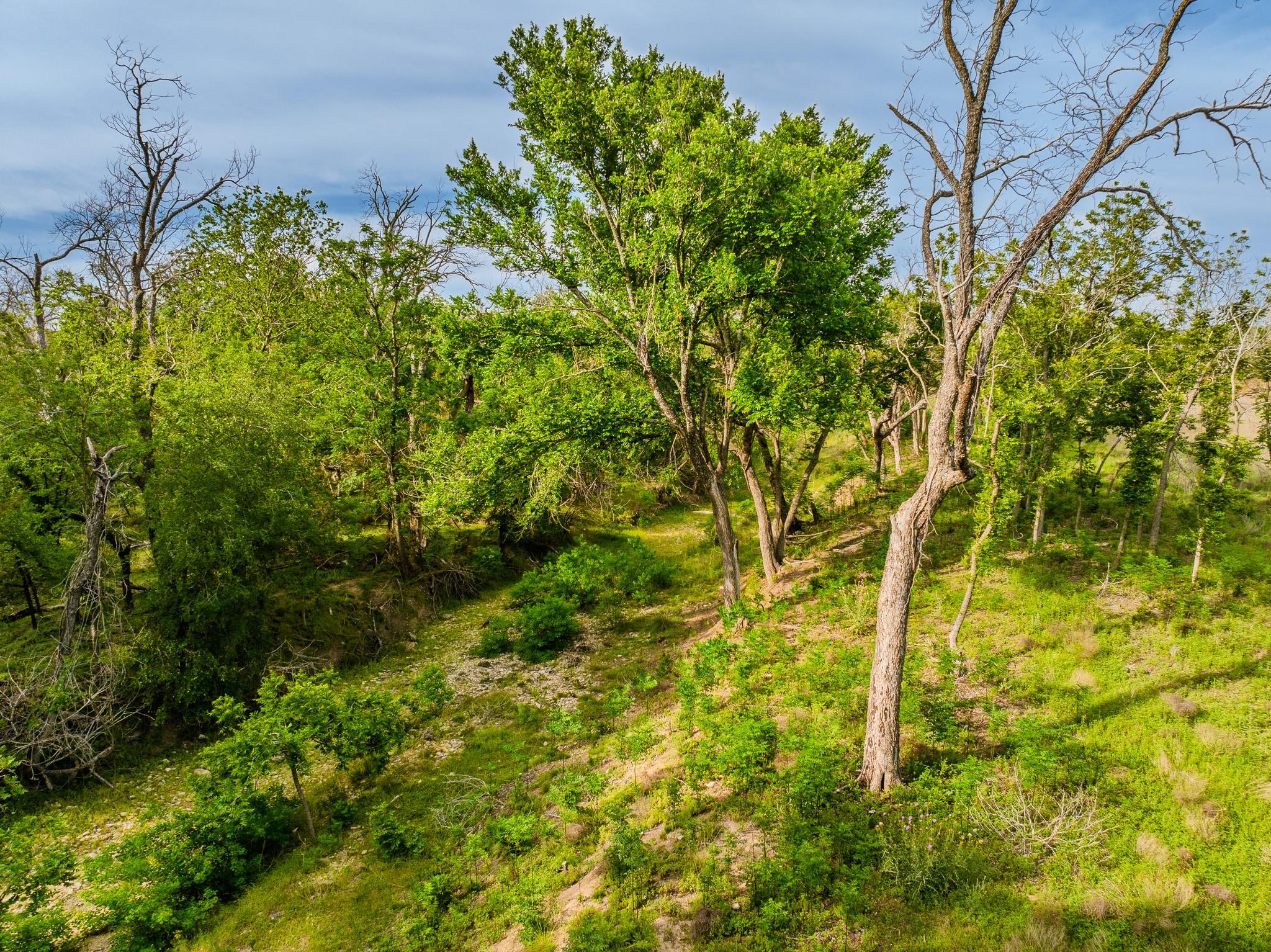 000 The Reserve at 290 Highway, Johnson City, TX 78638