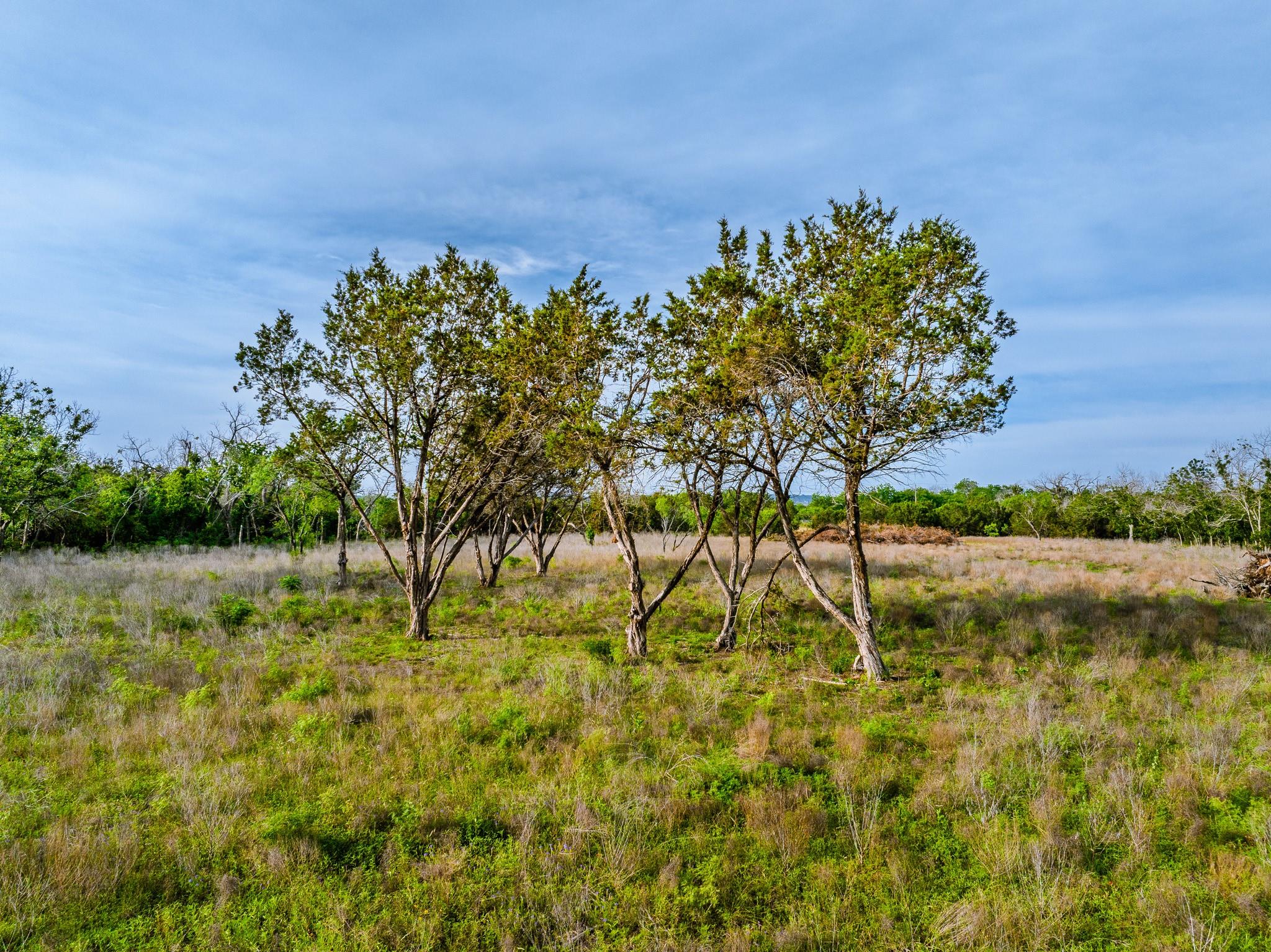 000 The Reserve at 290 Highway, Johnson City, TX 78638