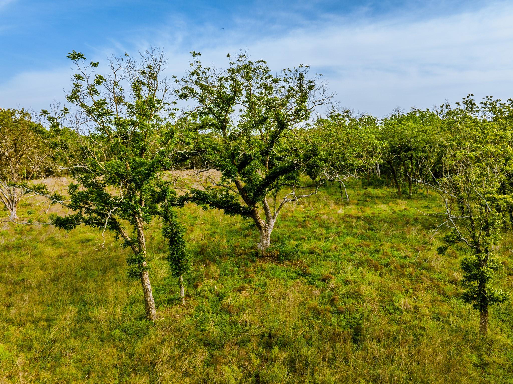 000 The Reserve at 290 Highway, Johnson City, TX 78638