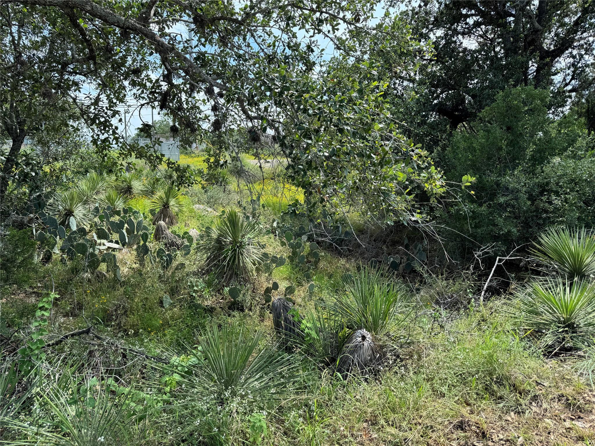 PID 17064 Sweetbriar Dr, Granite Shoals, TX 78654