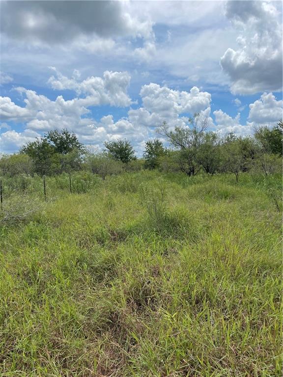 9025 Burklund Farms Rd, Del Valle, TX 78617