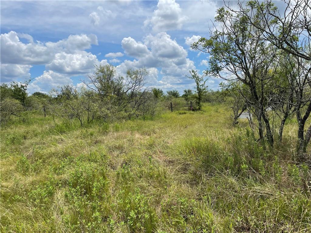 9025 Burklund Farms Rd, Del Valle, TX 78617