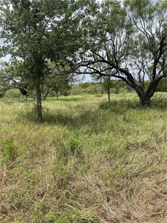 9025 Burklund Farms Rd, Del Valle, TX 78617