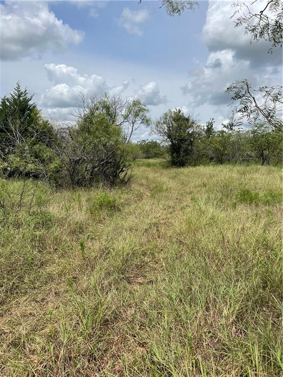 9025 Burklund Farms Rd, Del Valle, TX 78617