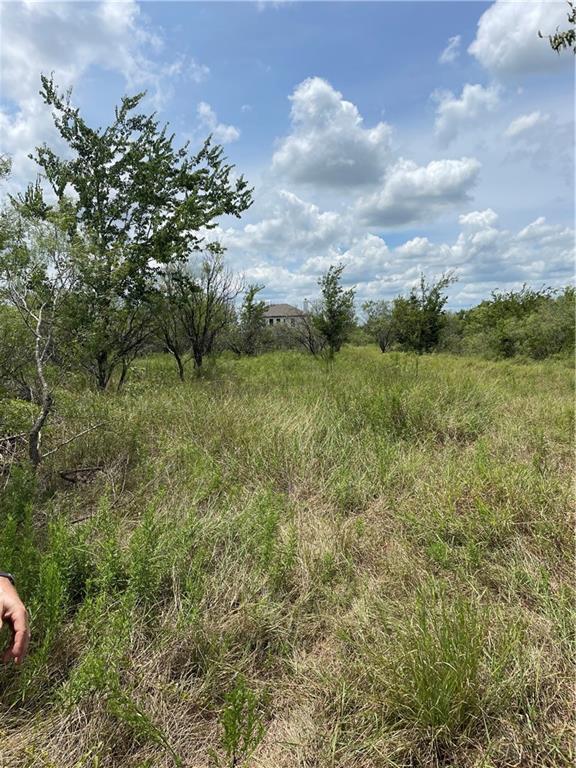 9025 Burklund Farms Rd, Del Valle, TX 78617