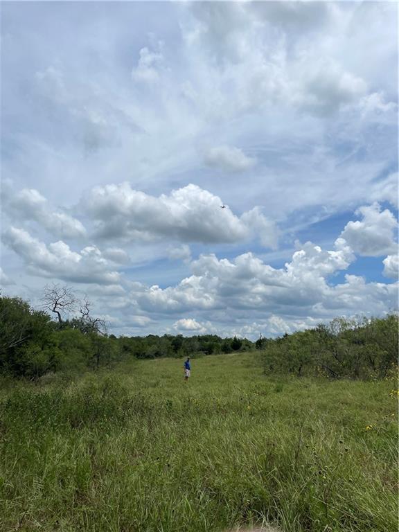 9025 Burklund Farms Rd, Del Valle, TX 78617
