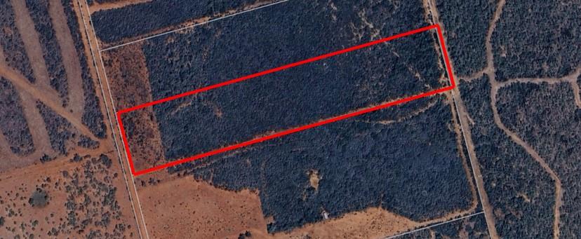 . County Road 354, Charlotte, TX 78011