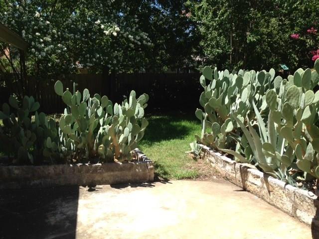 5103 Dull Knife Dr, Austin, TX 78759