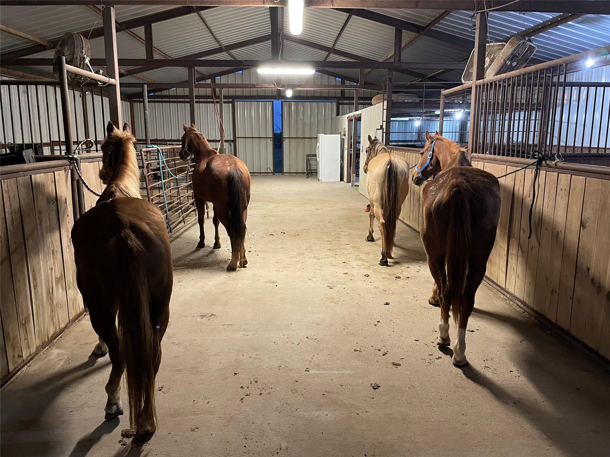 2481 County Road 224, Florence, TX 76527