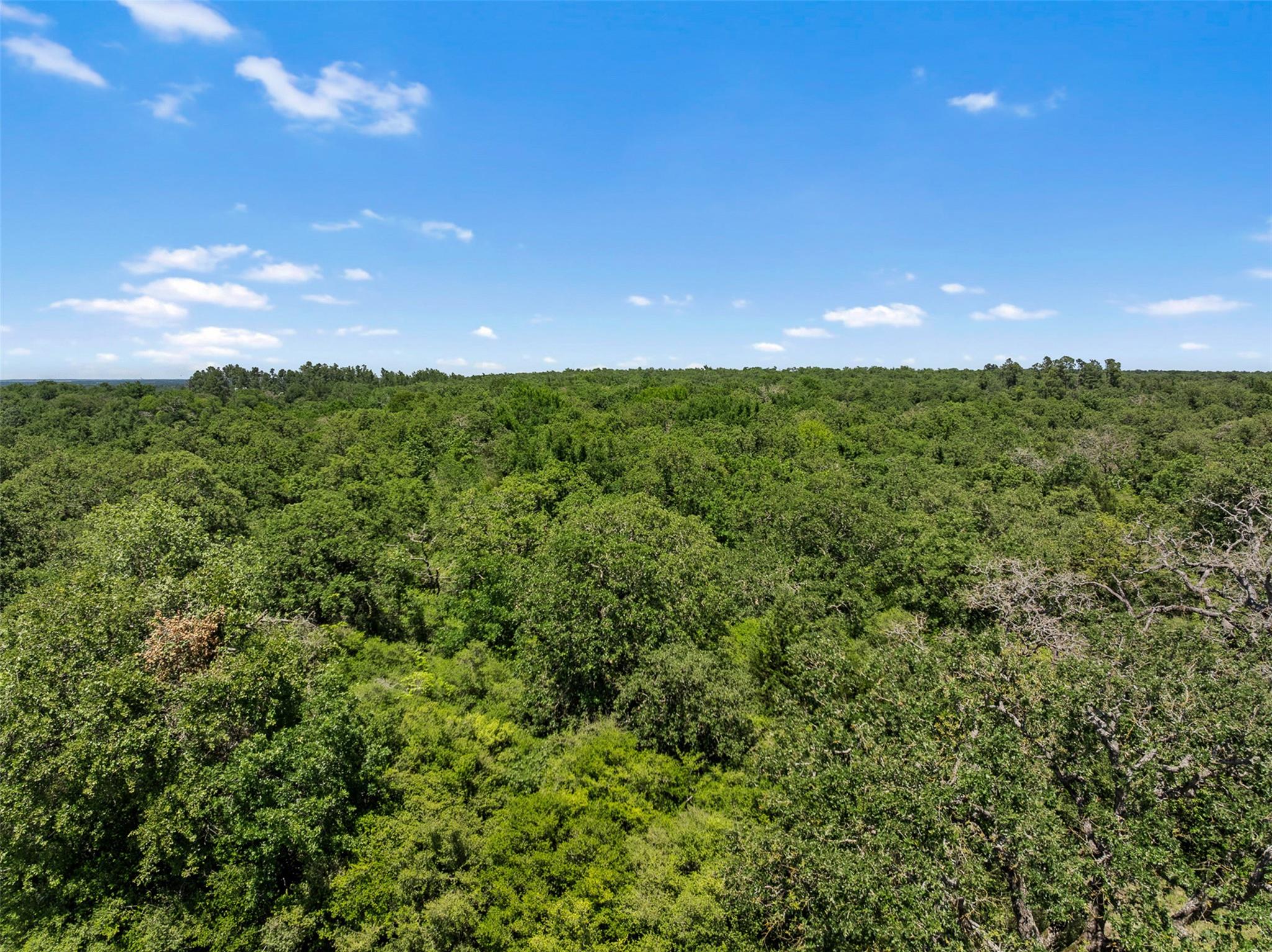 TBD Michulka Ln, Franklin, TX 77856