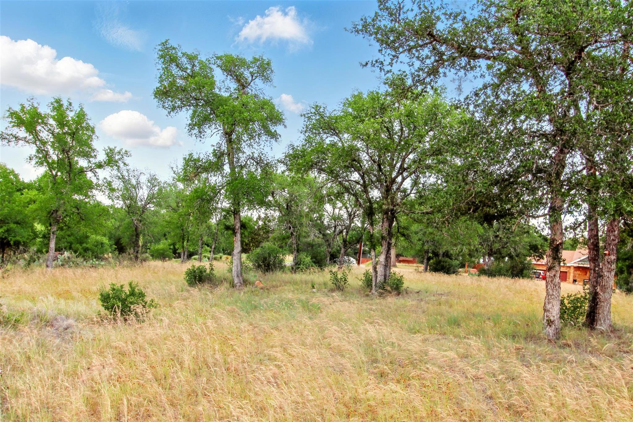 Lot 205 Skyline Dr, Kingsland, TX 78639